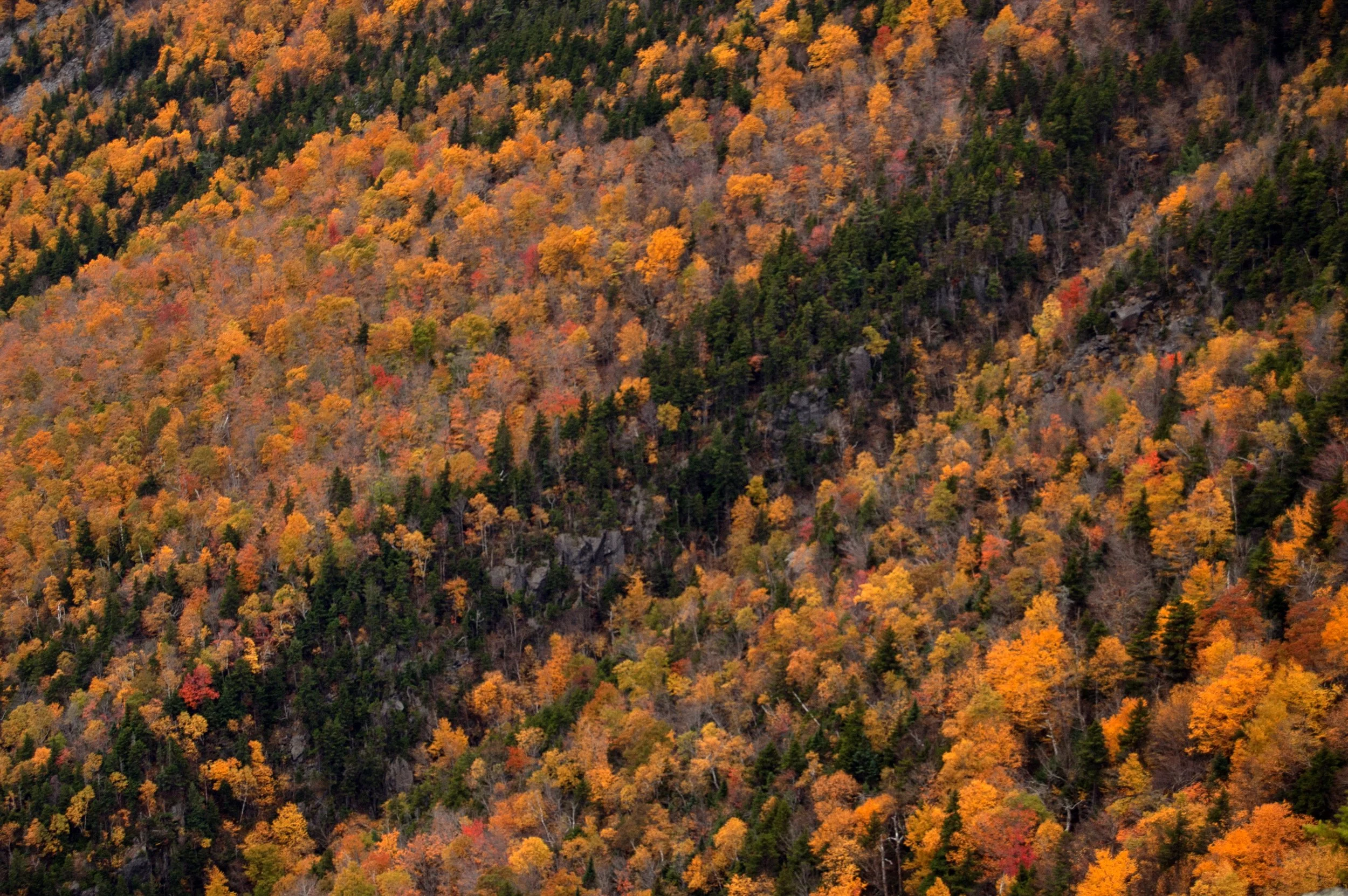 Crawford Notch New Hampshire 10092014 03A.jpg