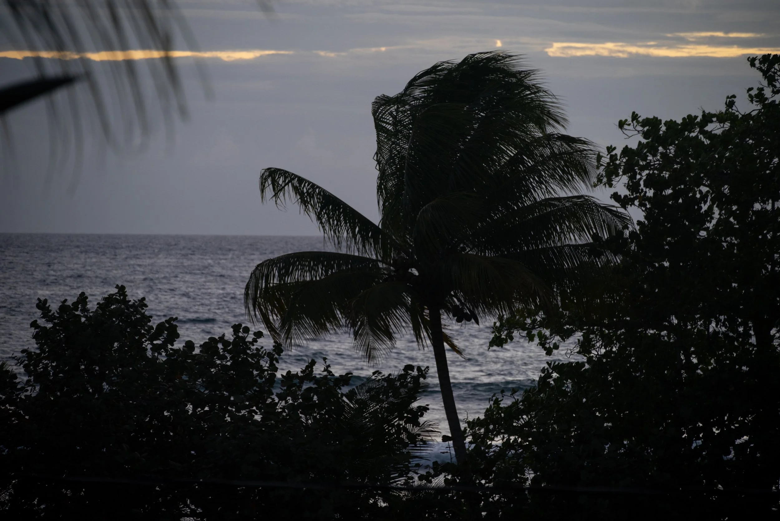 Rincon Beach PR 03202026 14.jpg