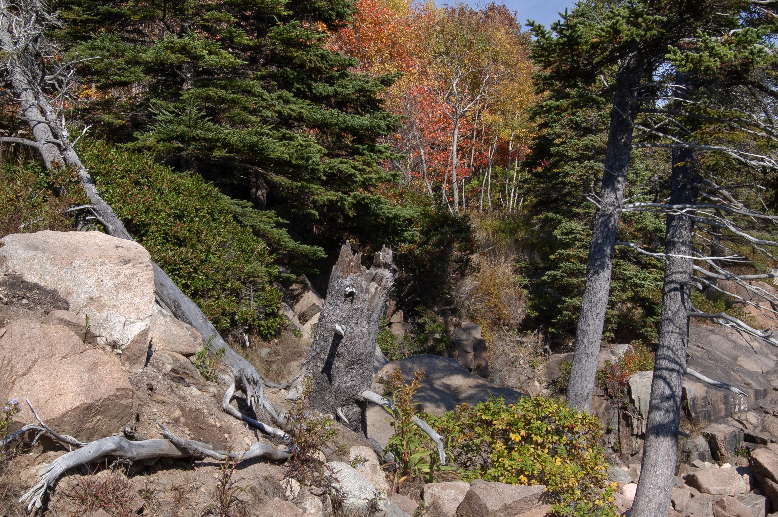 Acadia National Park 10072014 11.jpg