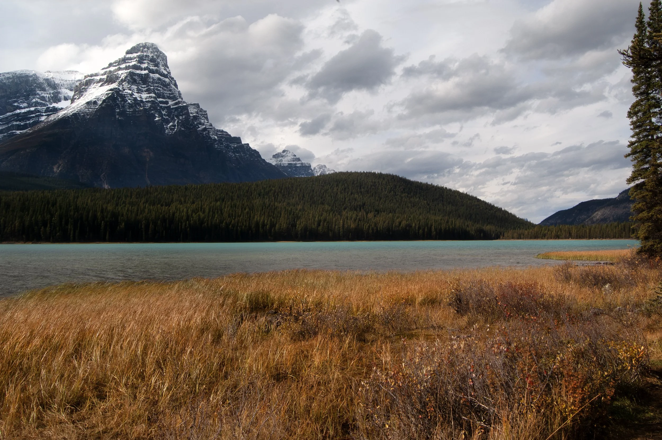 Mount Chephren Banff National Park 10032011 02.jpg