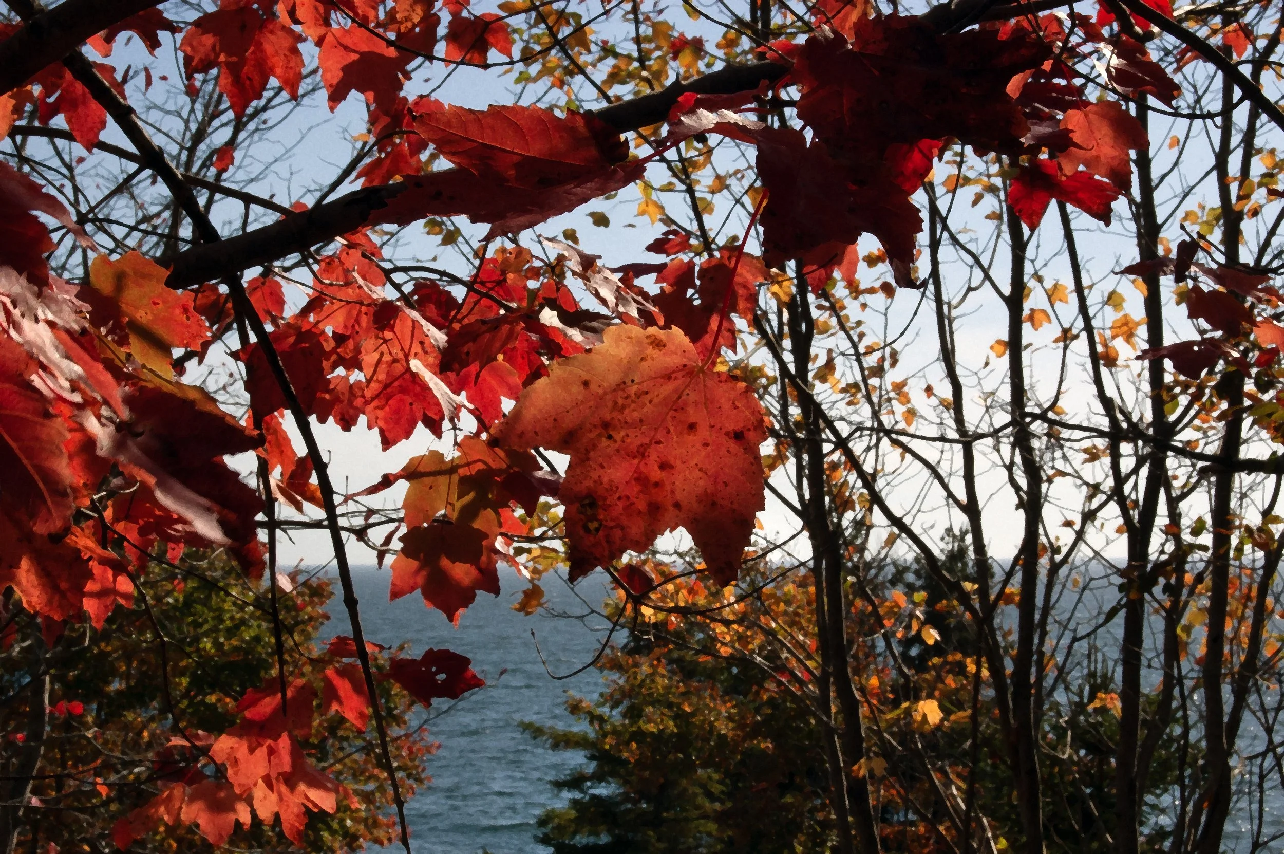 Acadia National Park 10072014 09A.jpg