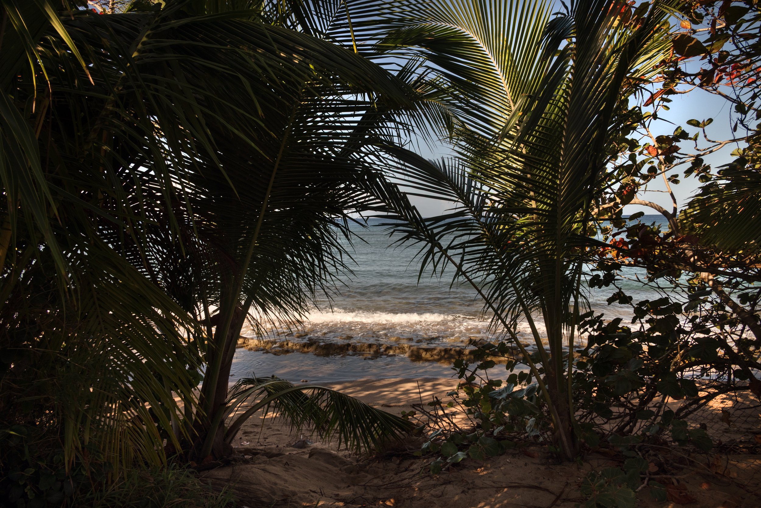 Rincon Beach 03192026 01G.jpg