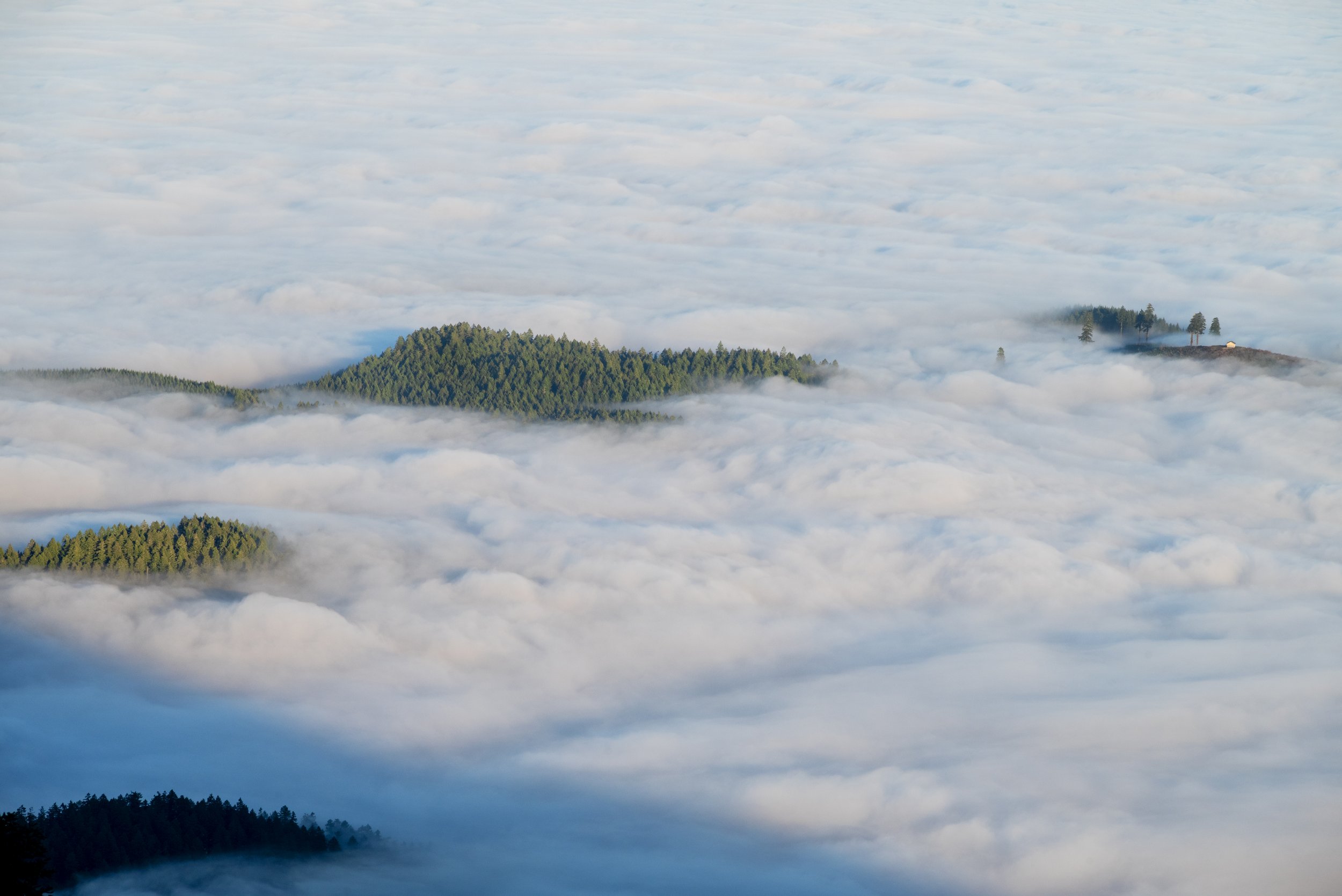 Mary's Peak 11212025 05.jpg