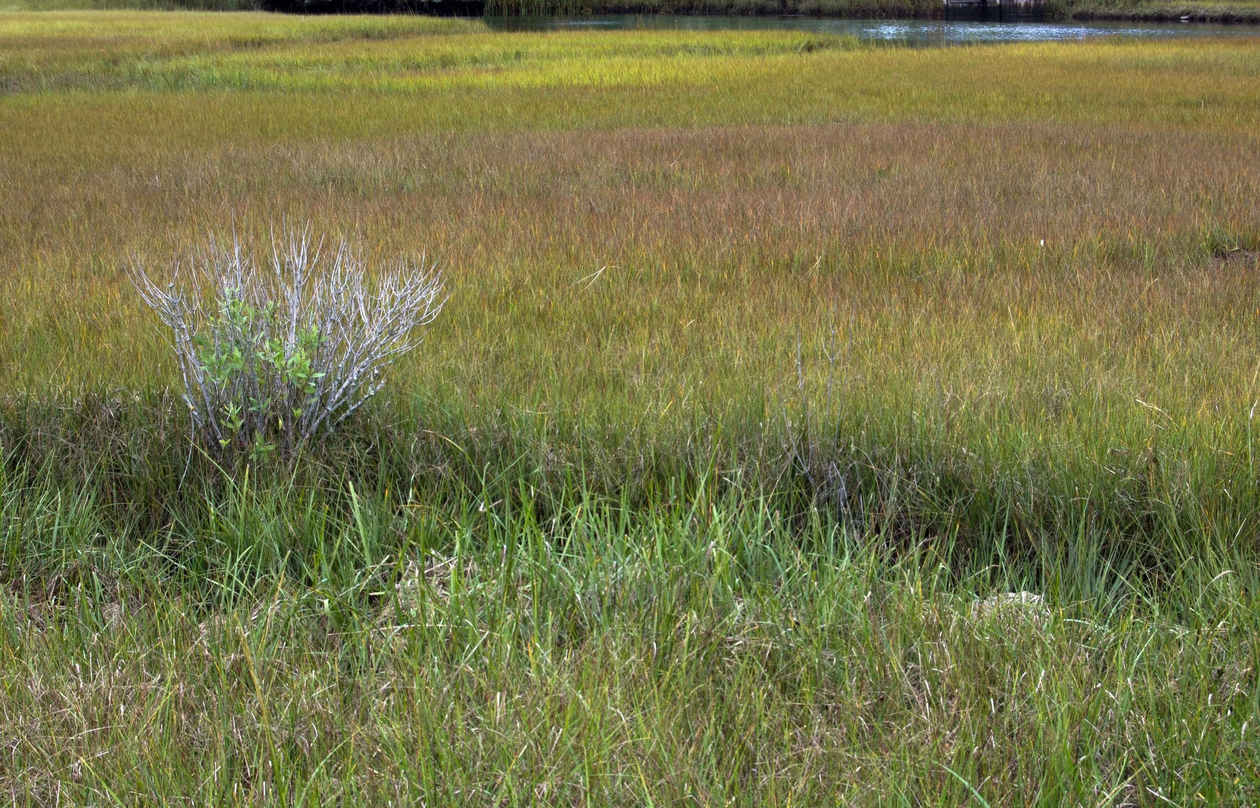 Marthas Vinyard10042014 01.jpg