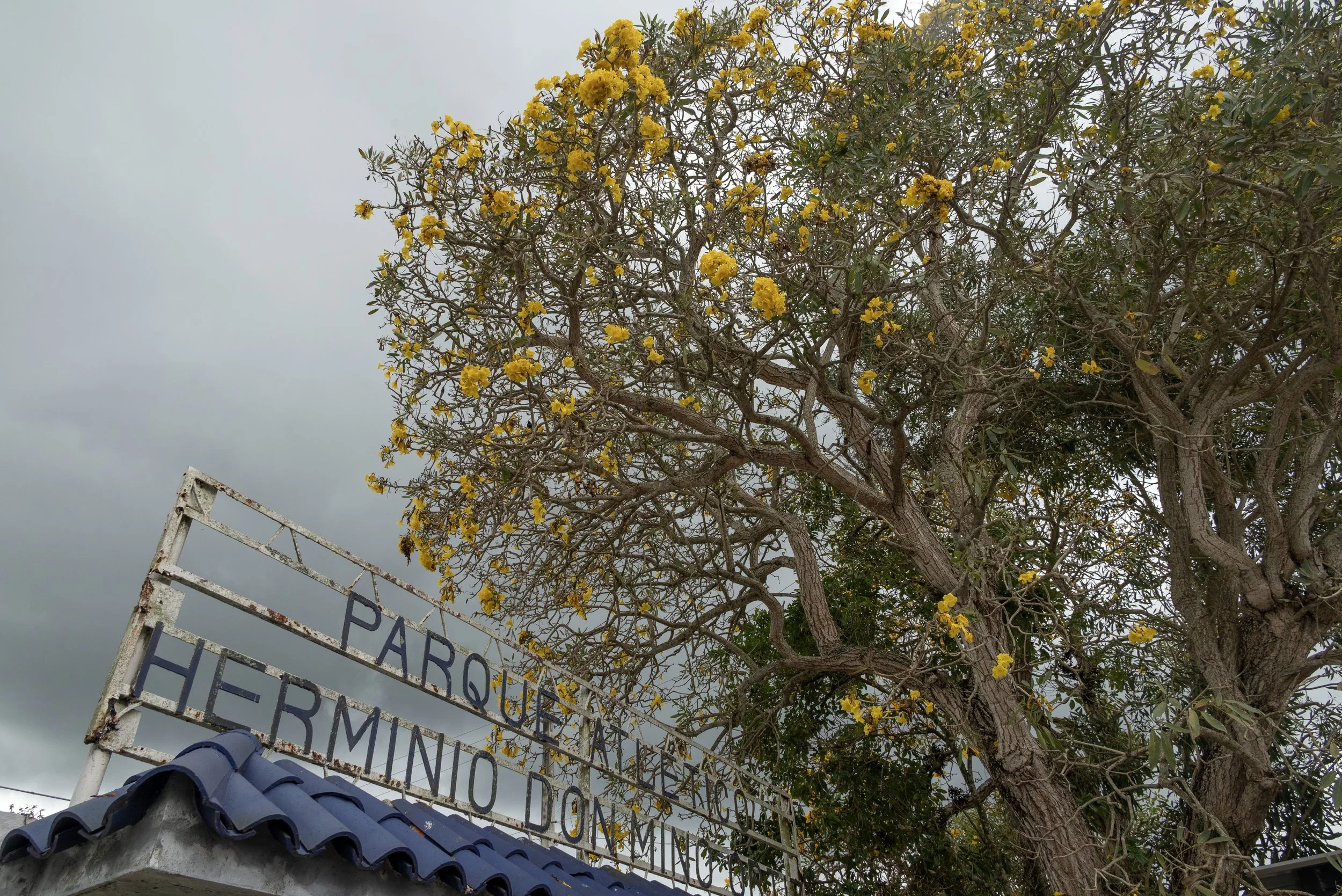 San Germán PR 03252026 04.jpg