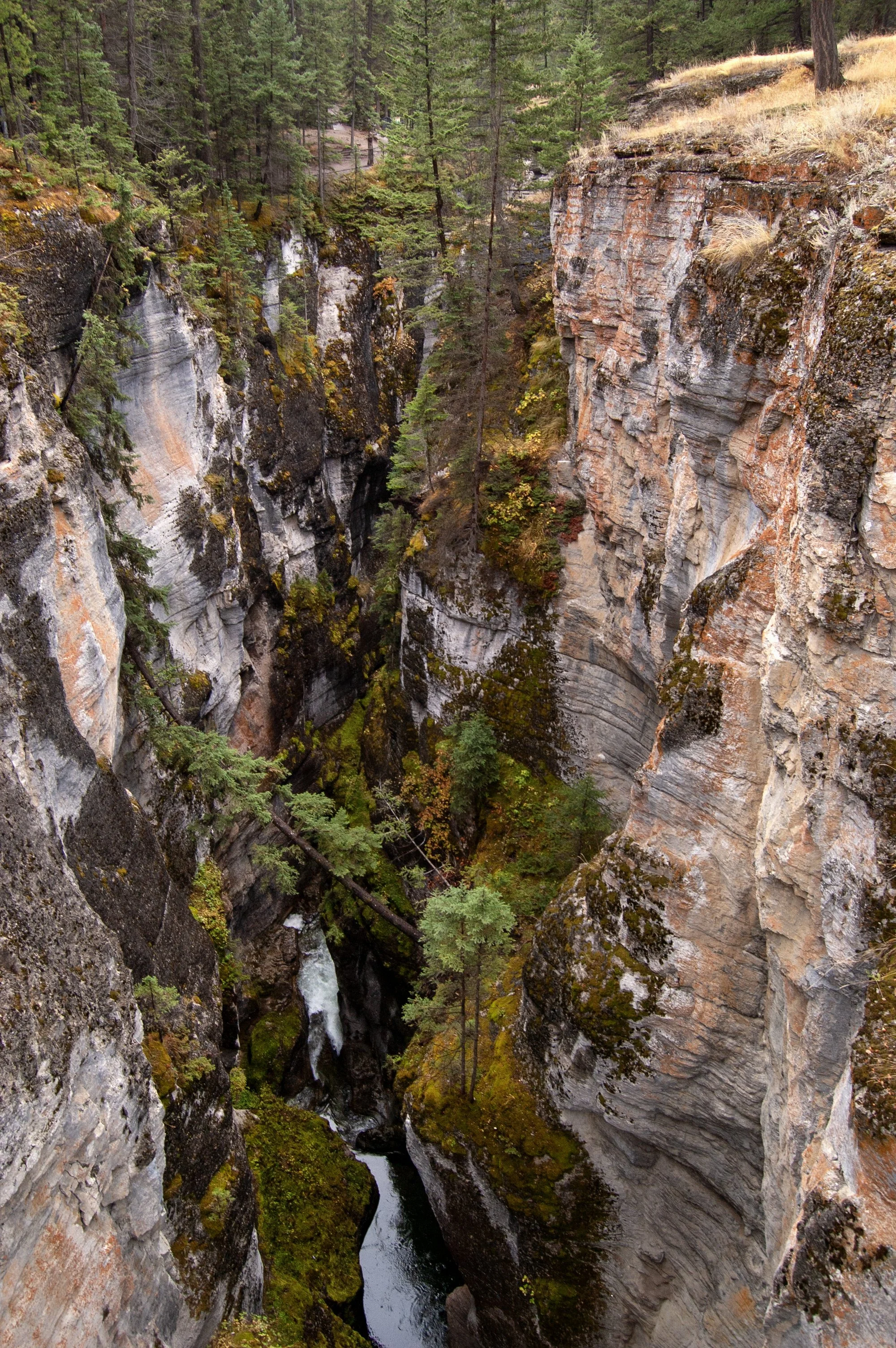 Jasper NTL Park Maligne Canyon 10022011 05B.jpg