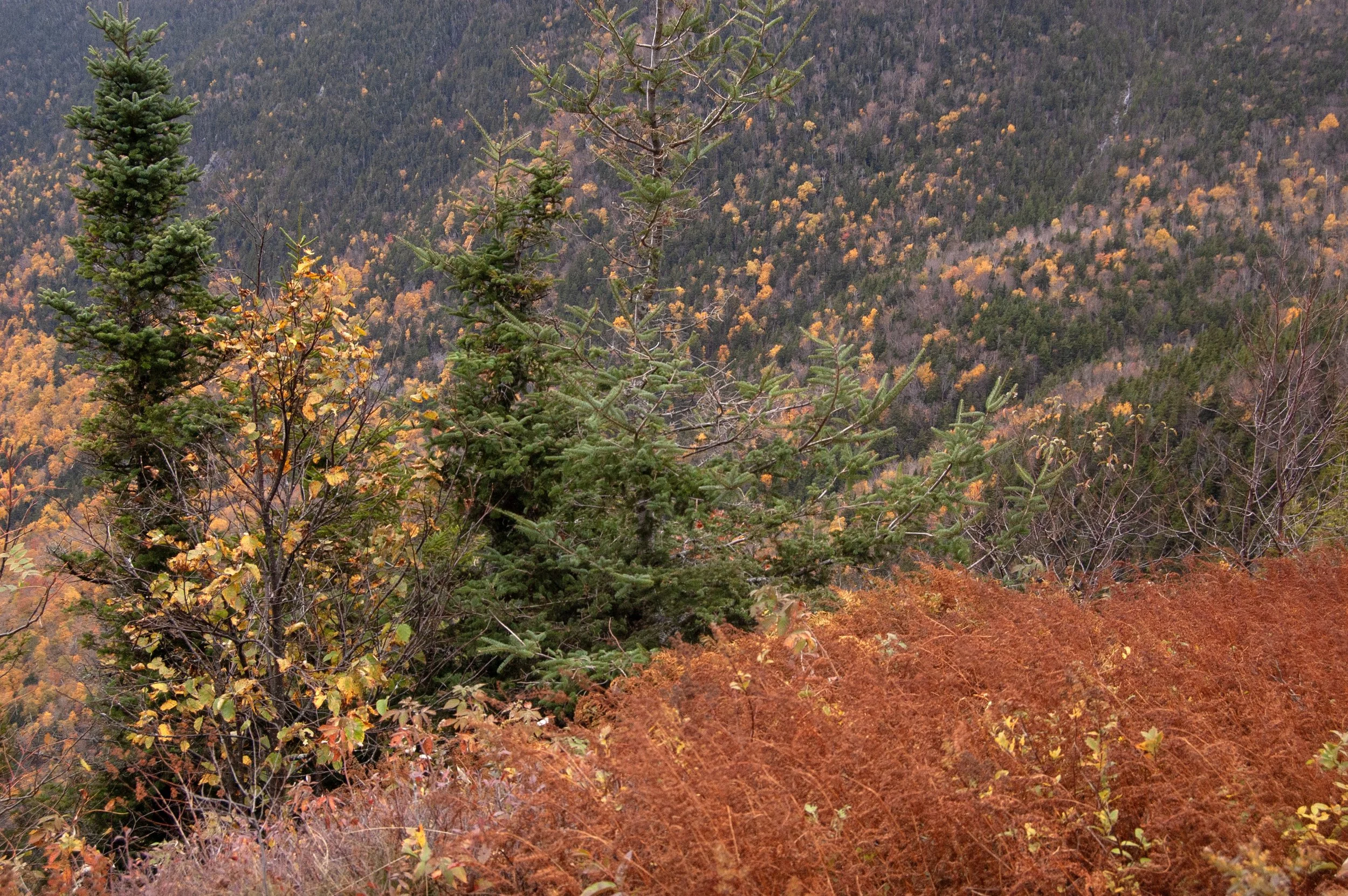 Crawford Notch New Hampshire 10092014 07.jpg