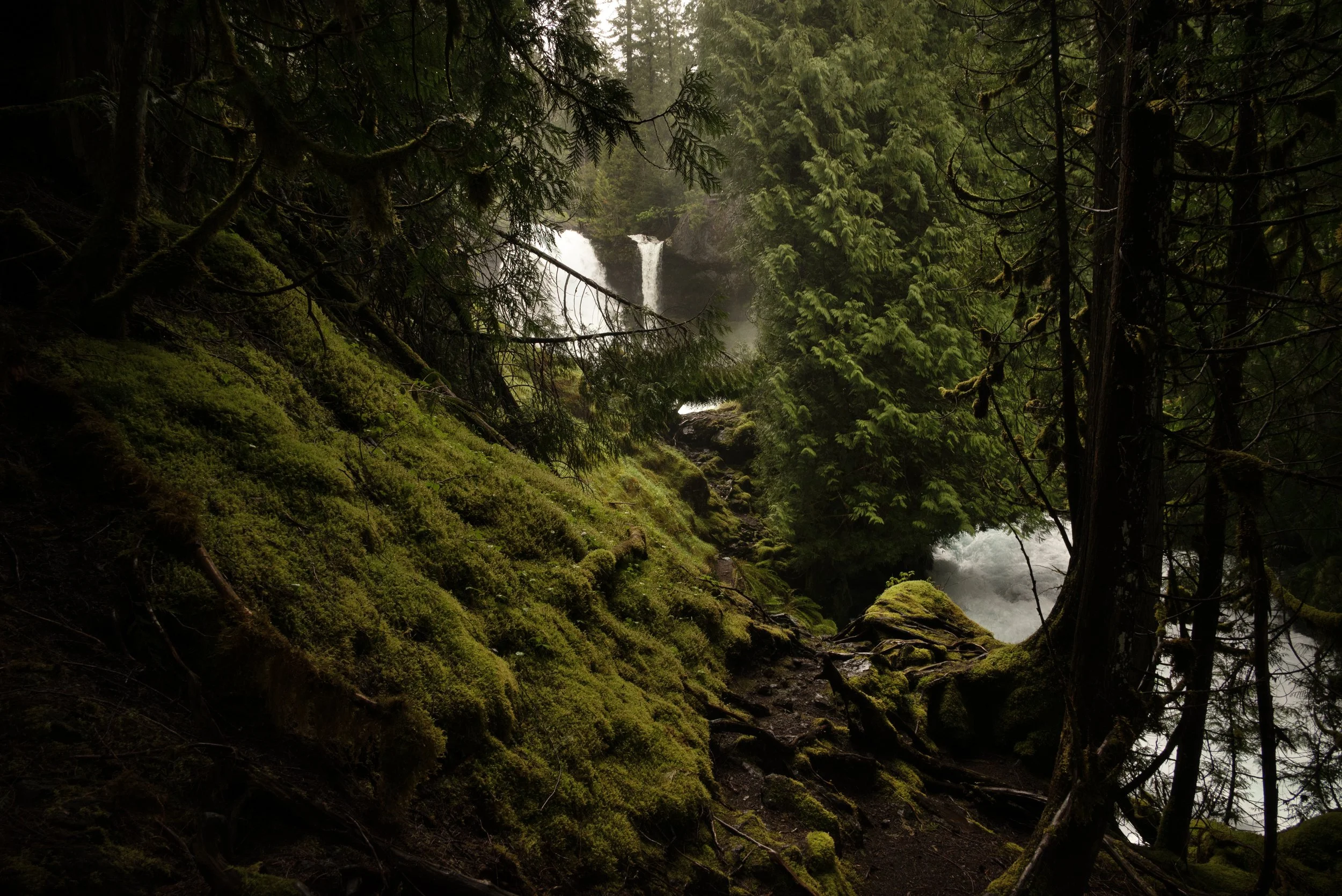 Sahalie & Koosah Fall 05222025 21.jpg