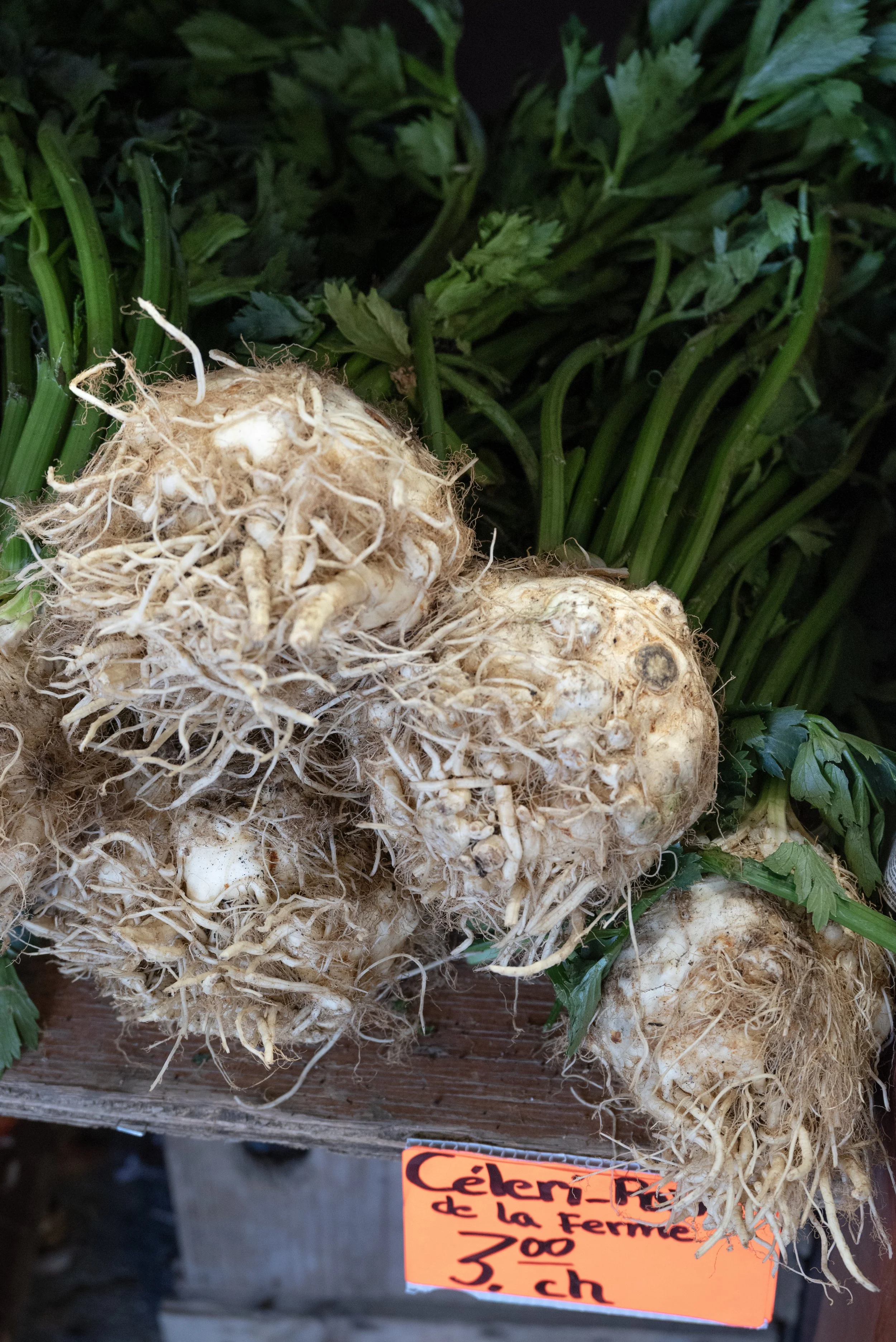 Montreal Market 09152025 10.jpg