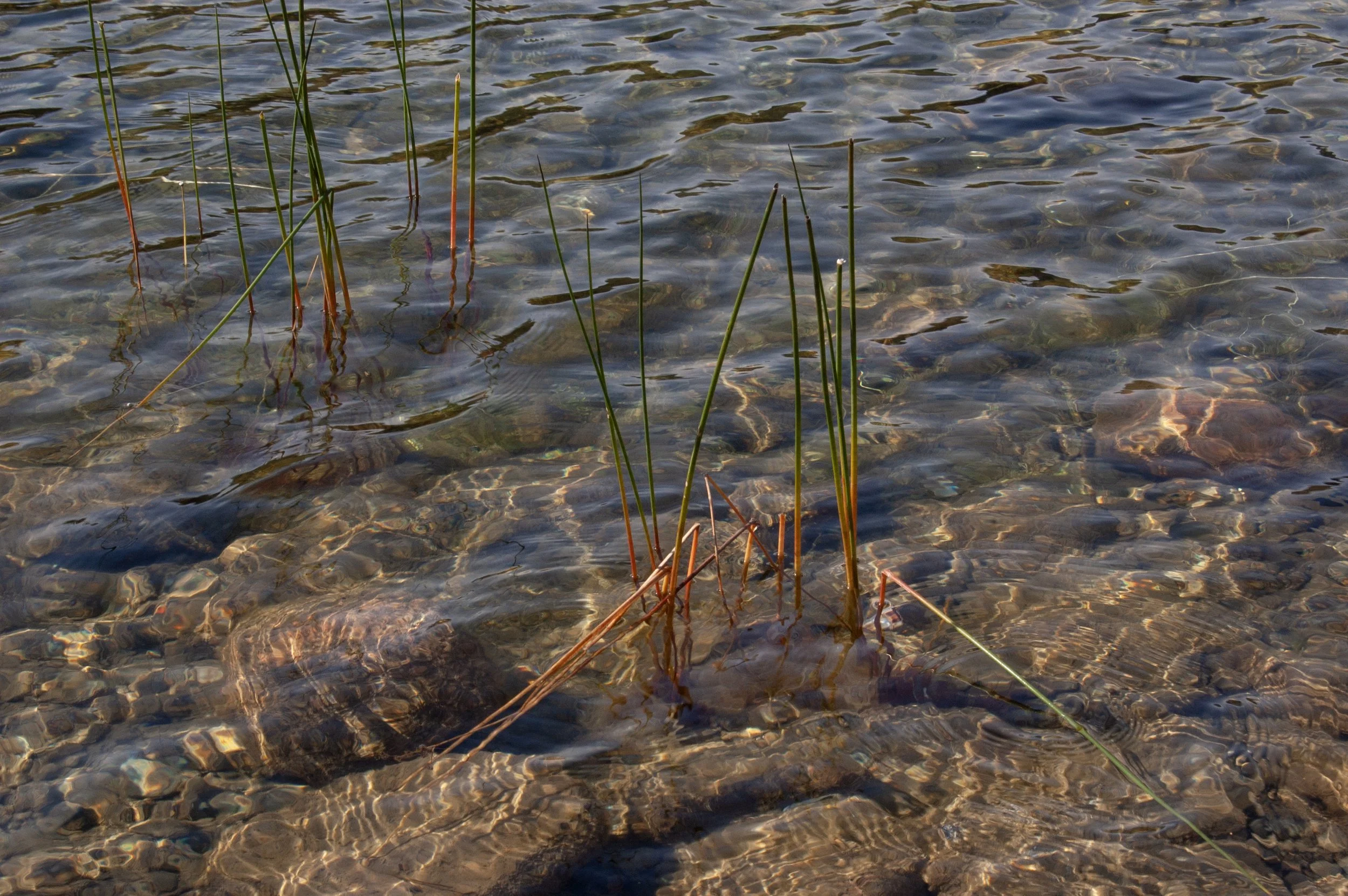 Acadia National Park 10072014 20.jpg