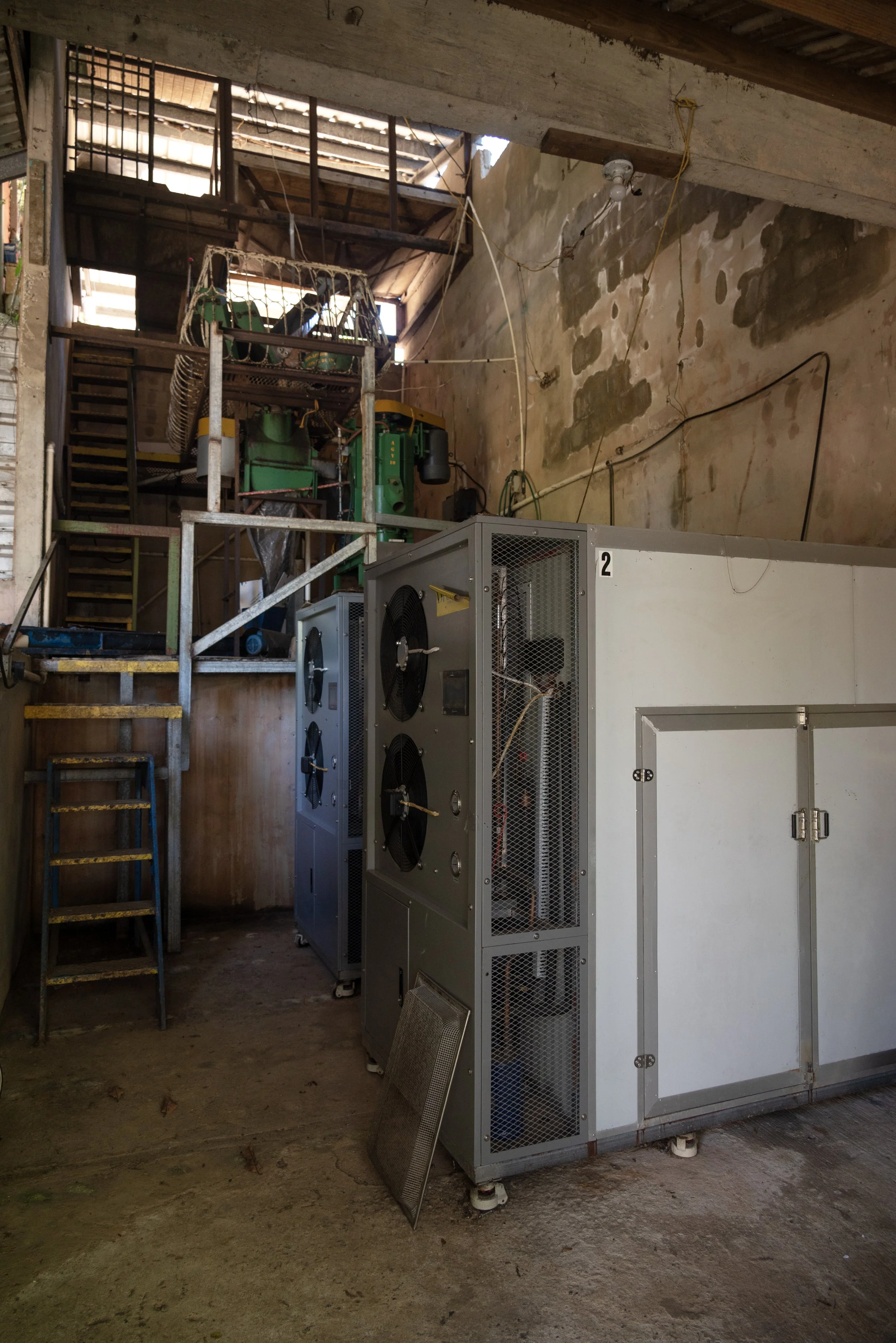 Sandra Farms Adjuntas PR 03192026 10.jpg