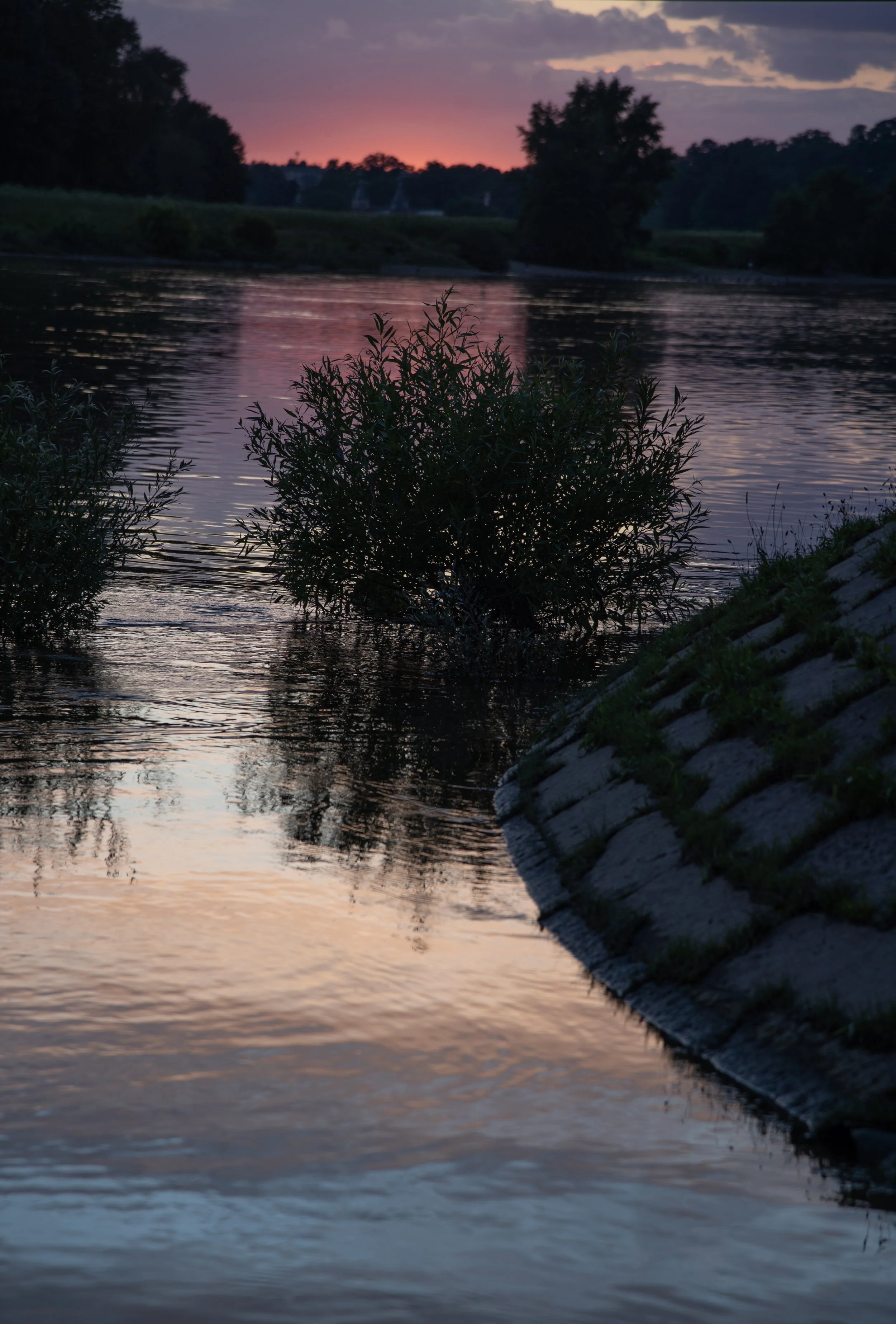 Dresden 06112024 20B.jpg