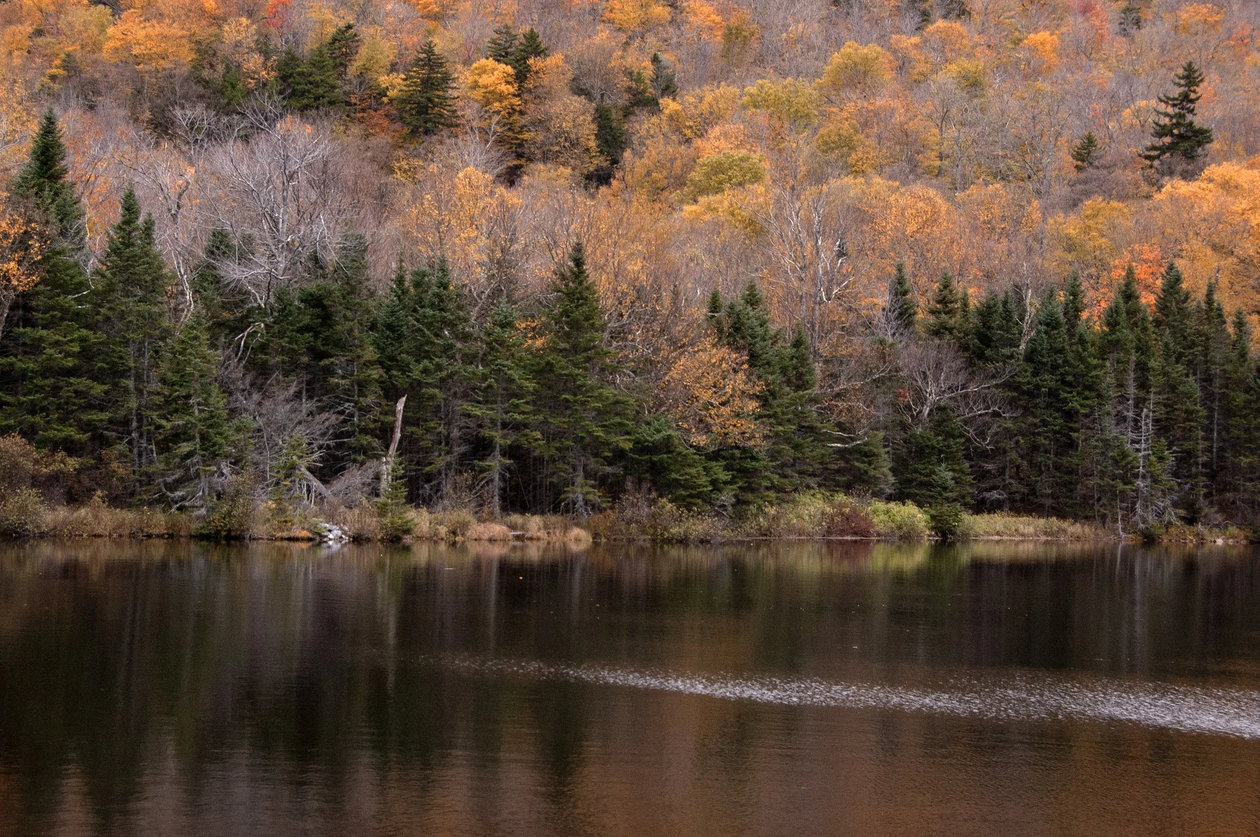 Crawford Notch New Hampshire 10092014 13.jpg