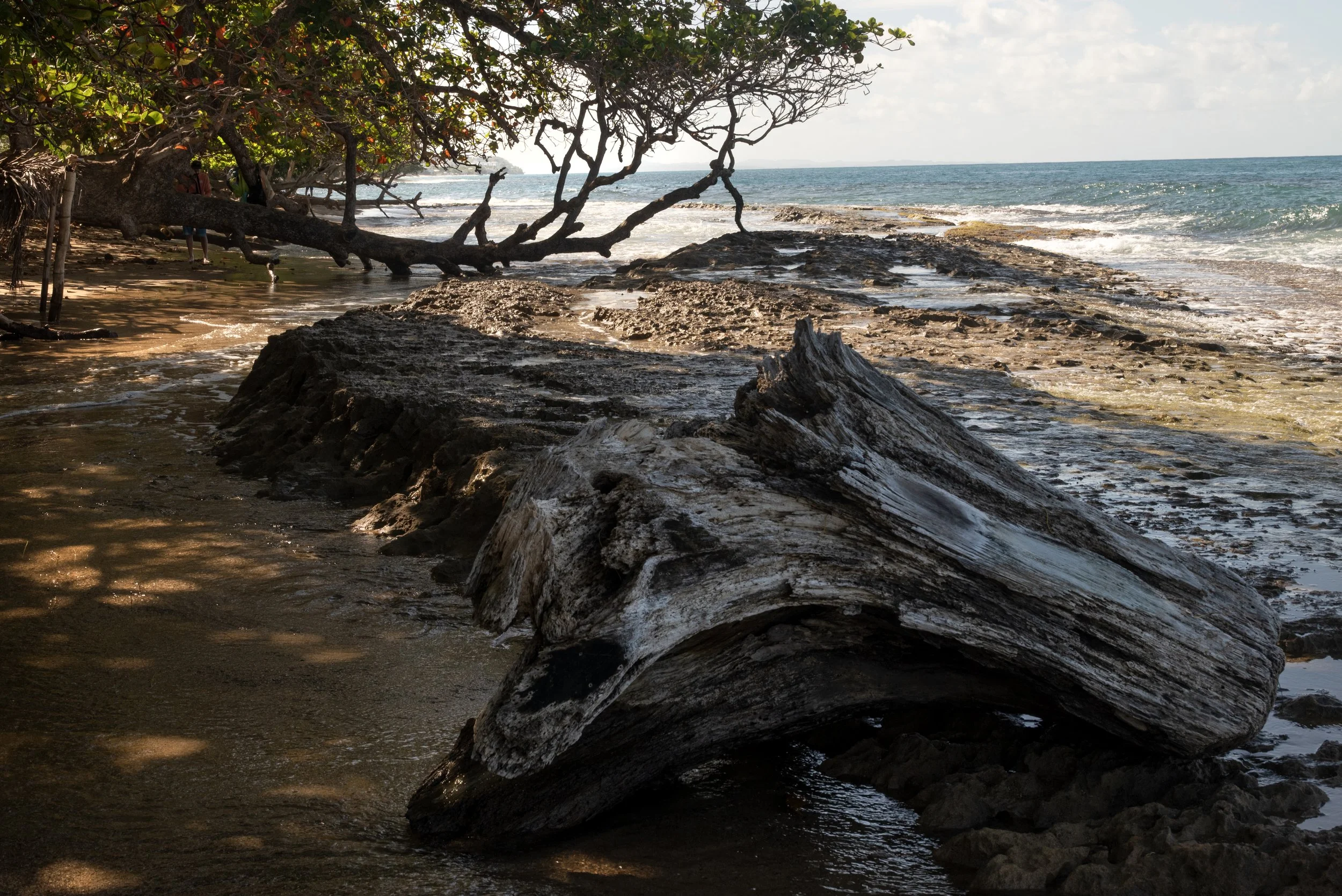 Rincon Beach PR 03202026 03.jpg