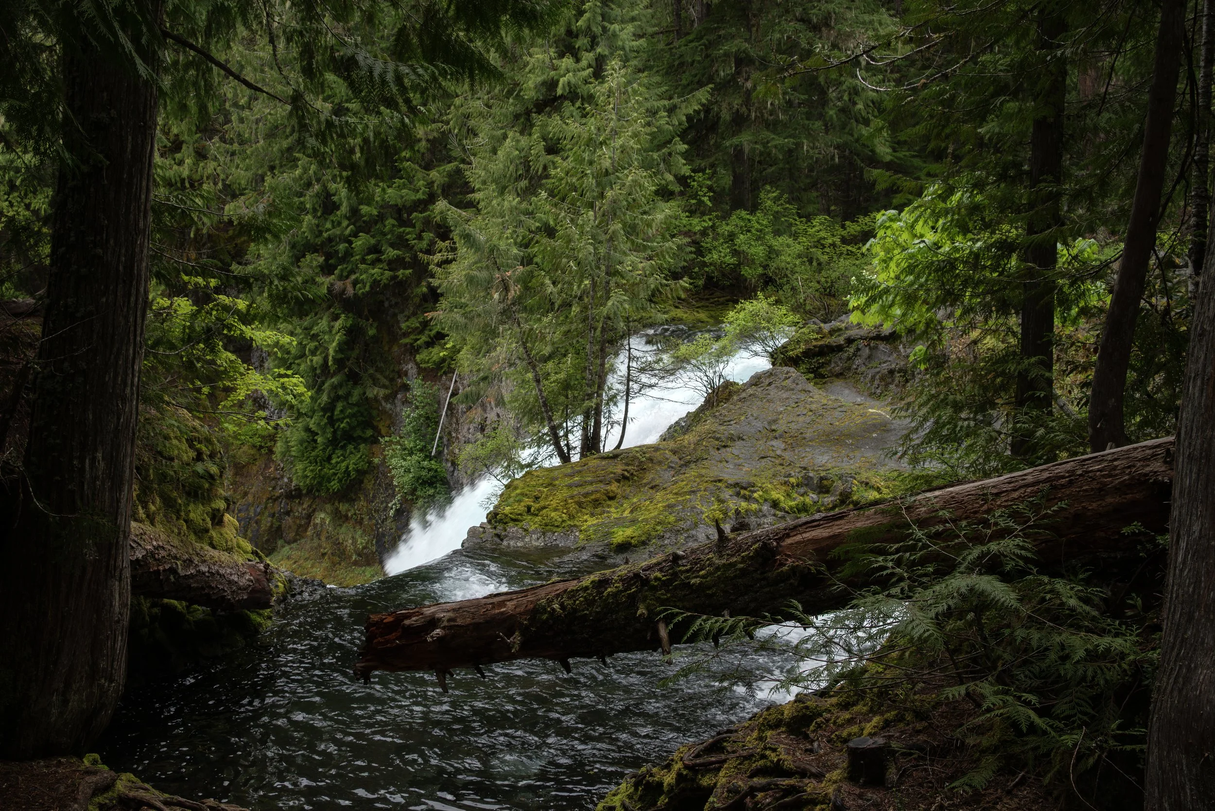 Sahalie & Koosah Fall 05222025 01.jpg