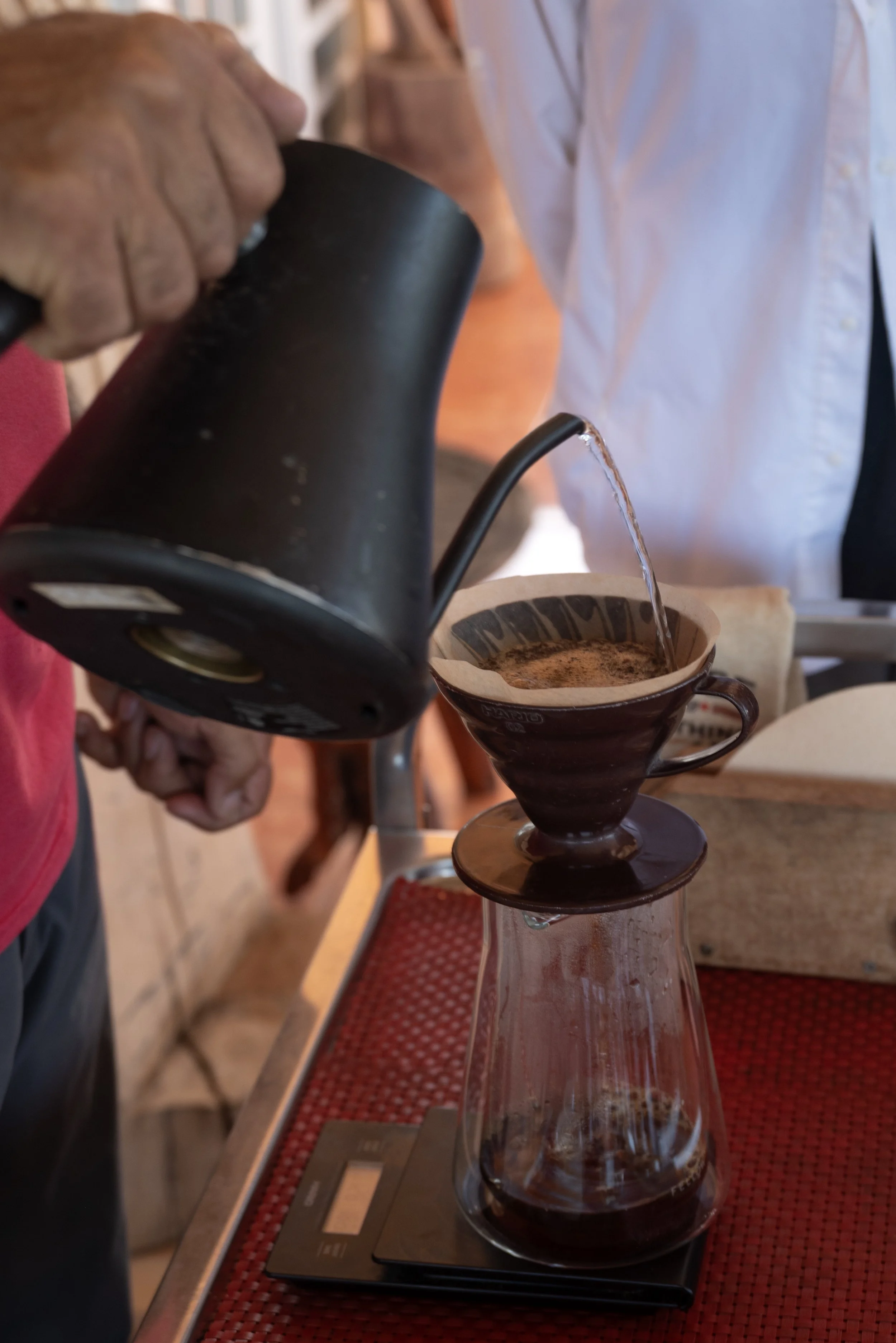 Sandra Farms Adjuntas PR 03192026 18C.jpg