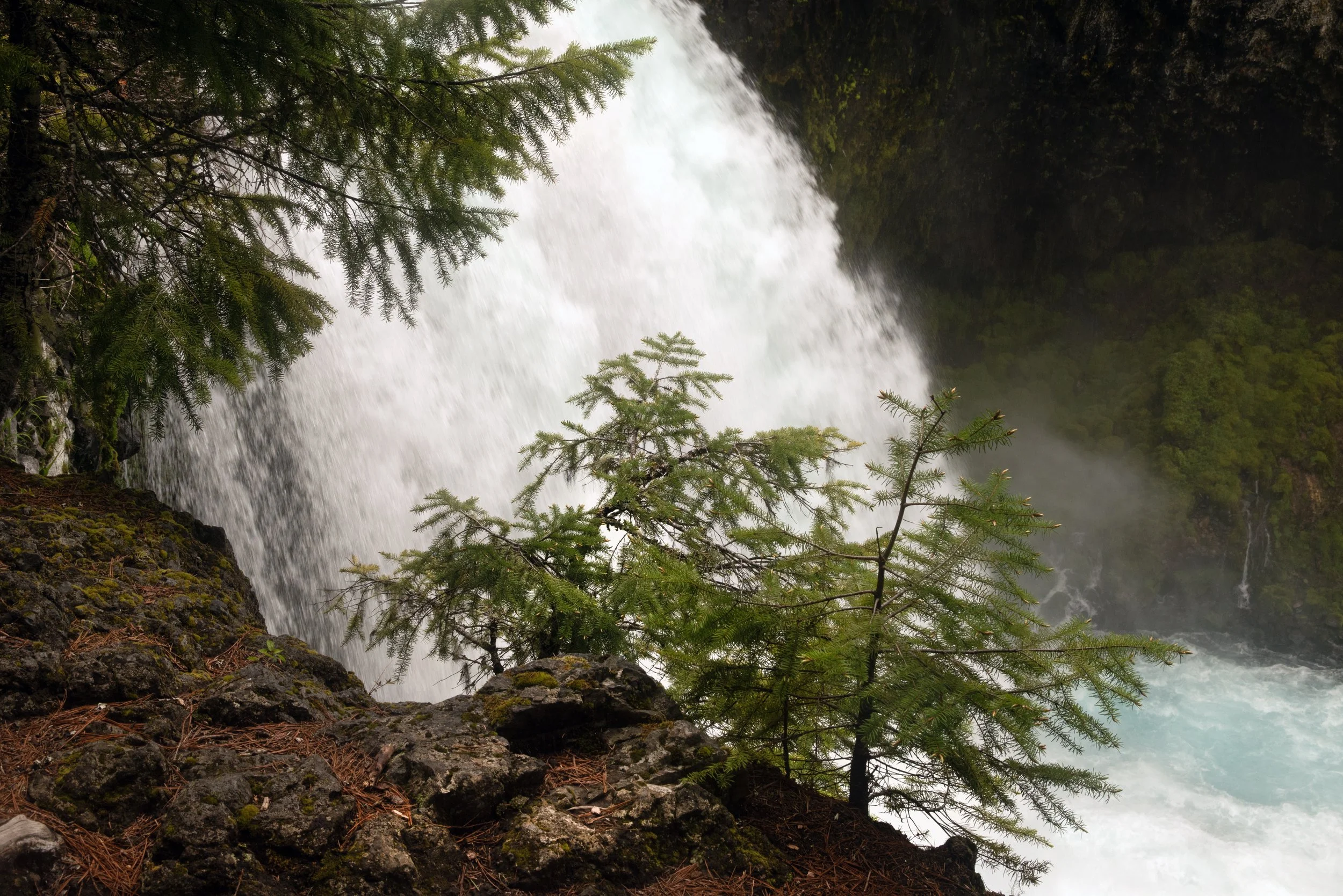 Sahalie & Koosah Fall 05222025 18.jpg