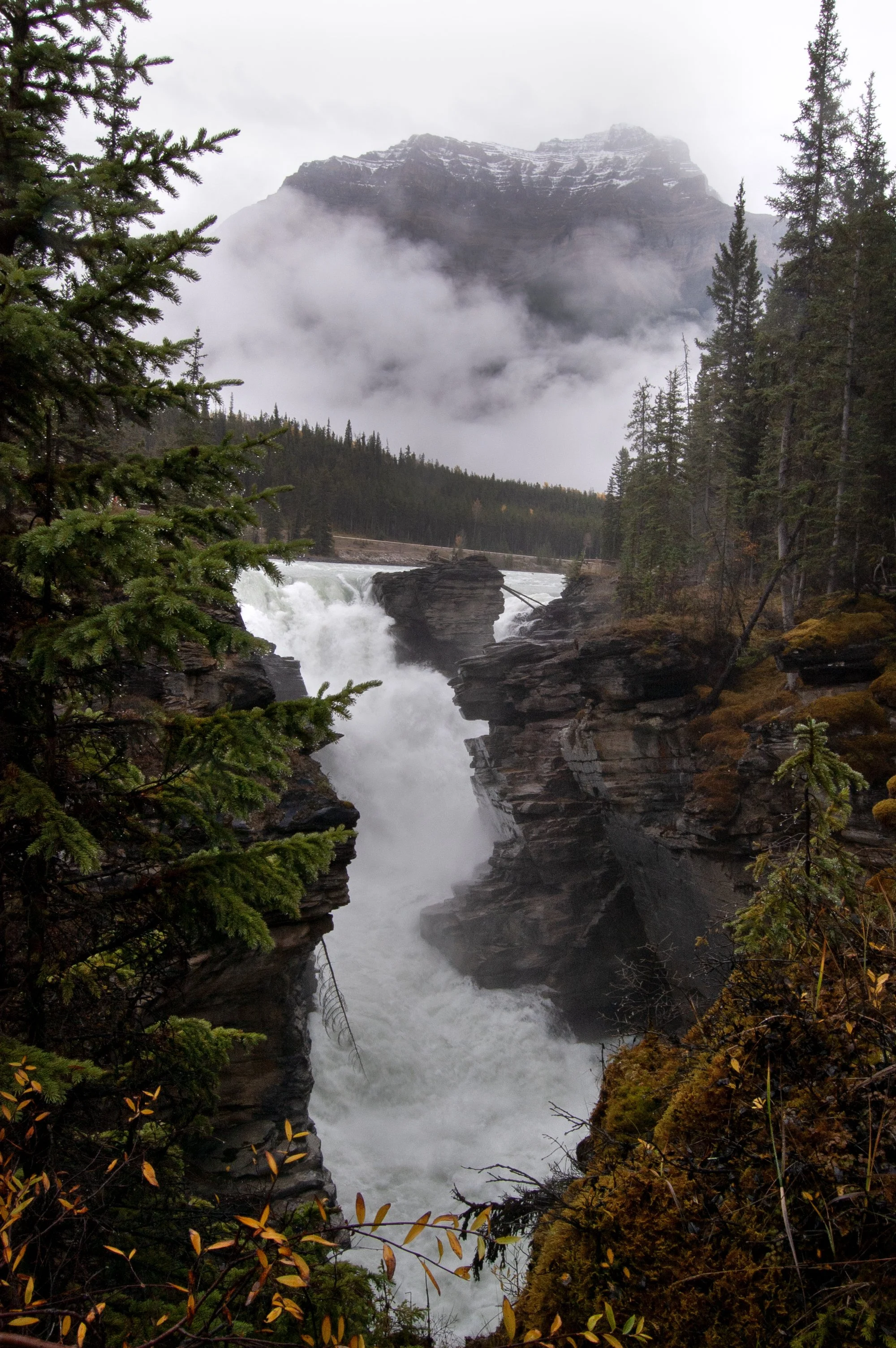 Athabasca Falls 06.jpg