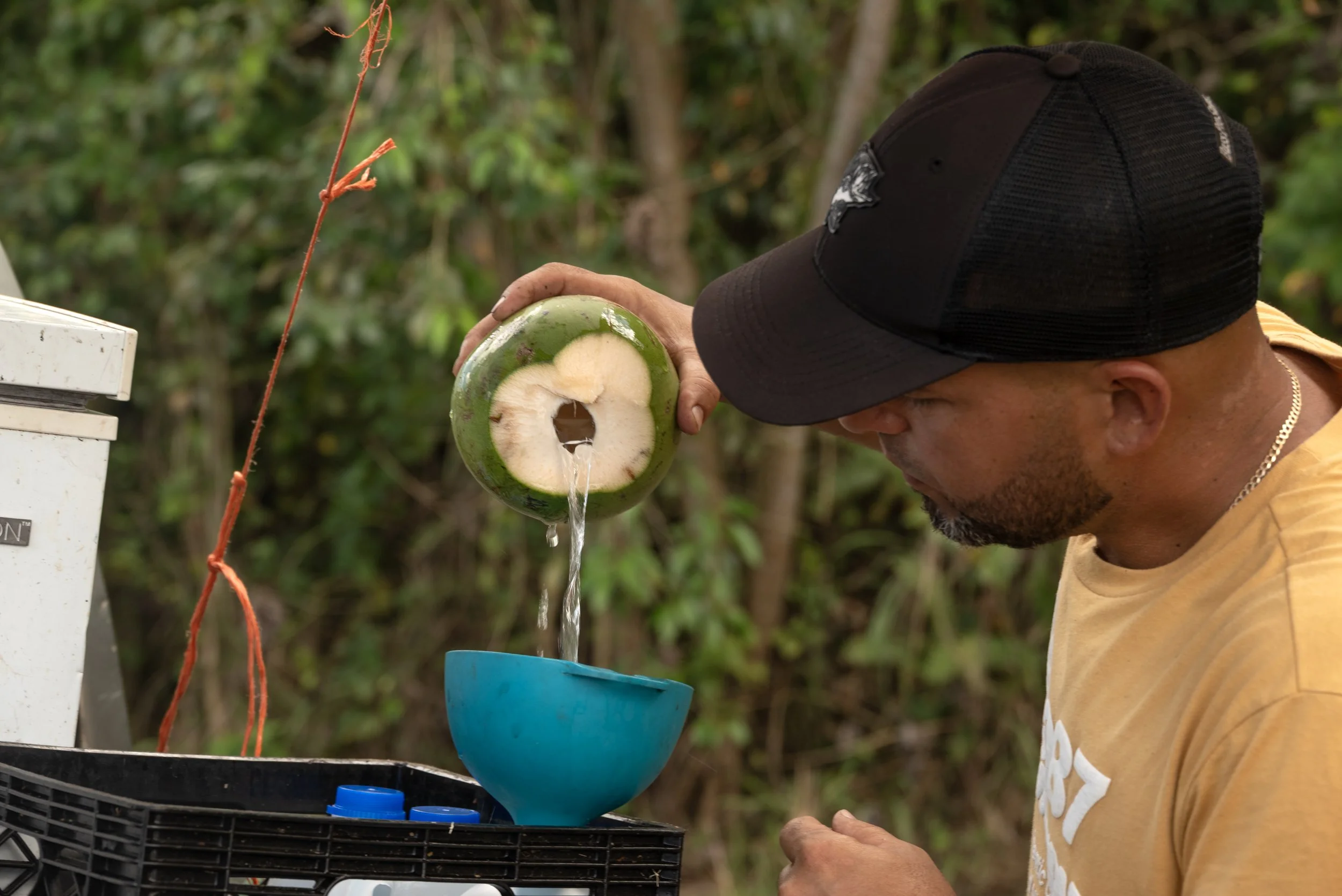 PR Fruitstop 03212026 02D.jpg