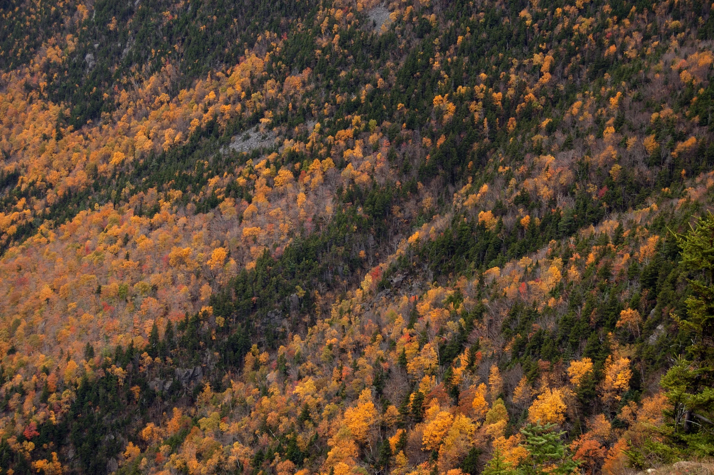 Crawford Notch New Hampshire 10092014 03.jpg