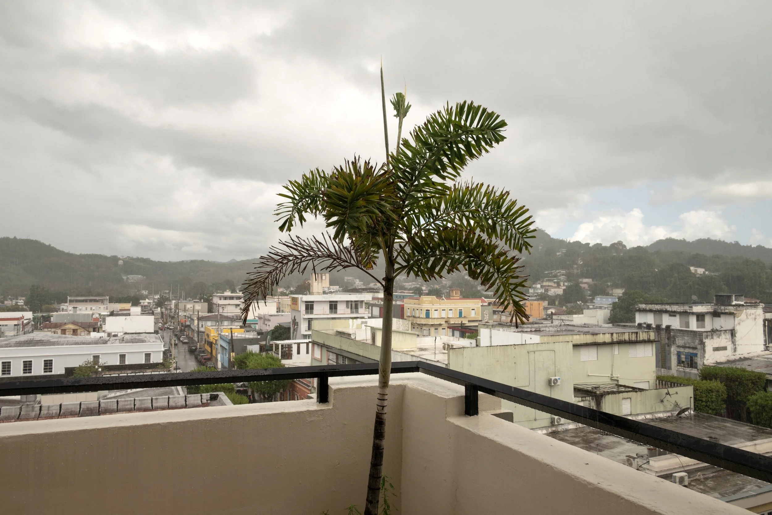 Mayagüez PR 03262026 45.jpg