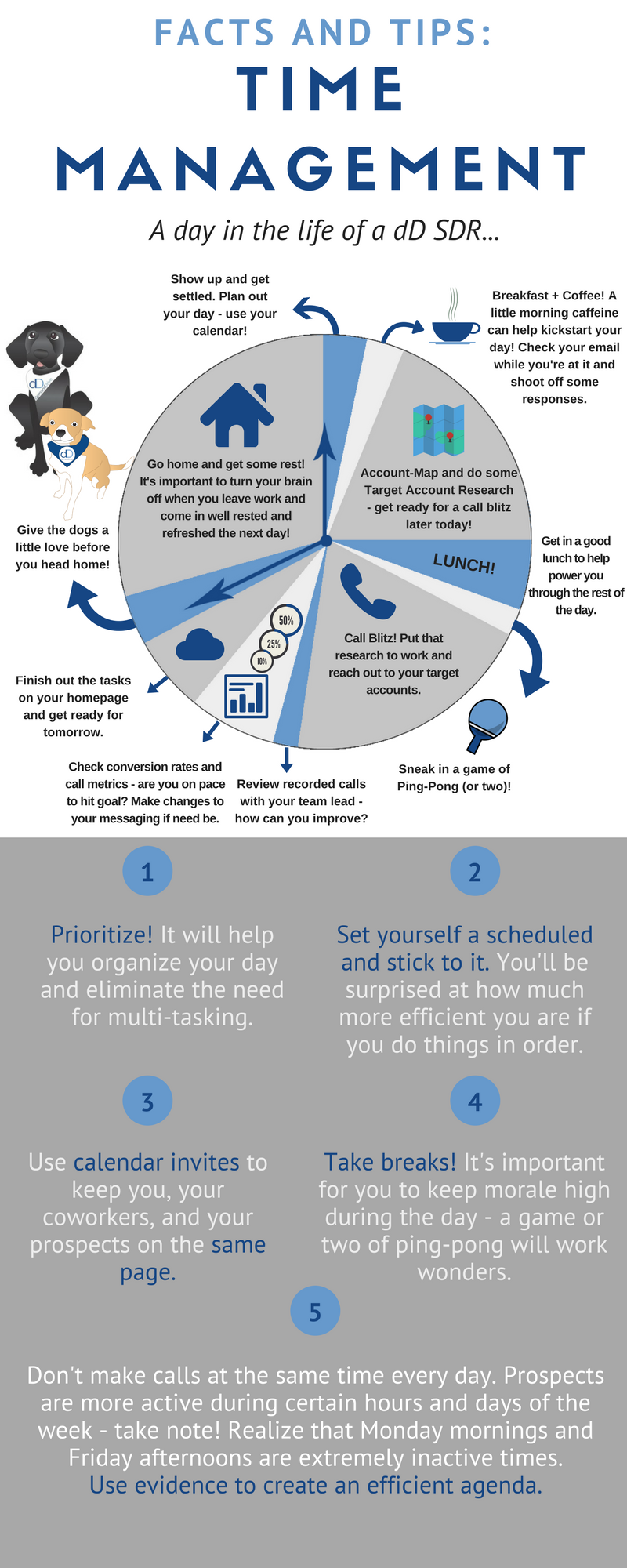 Facts infographic of SDR time management for SDR productivity