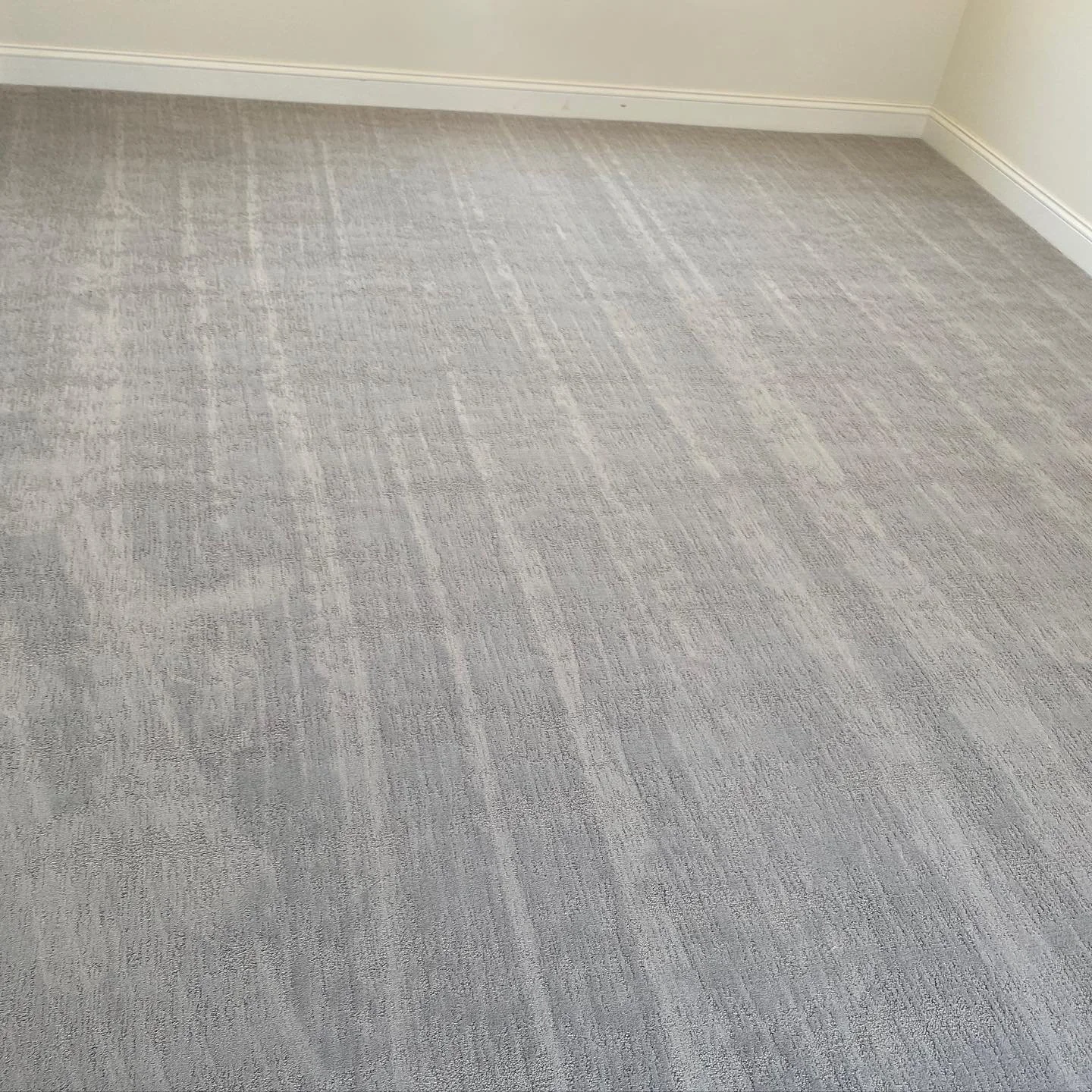 Fresh Carpet 👌