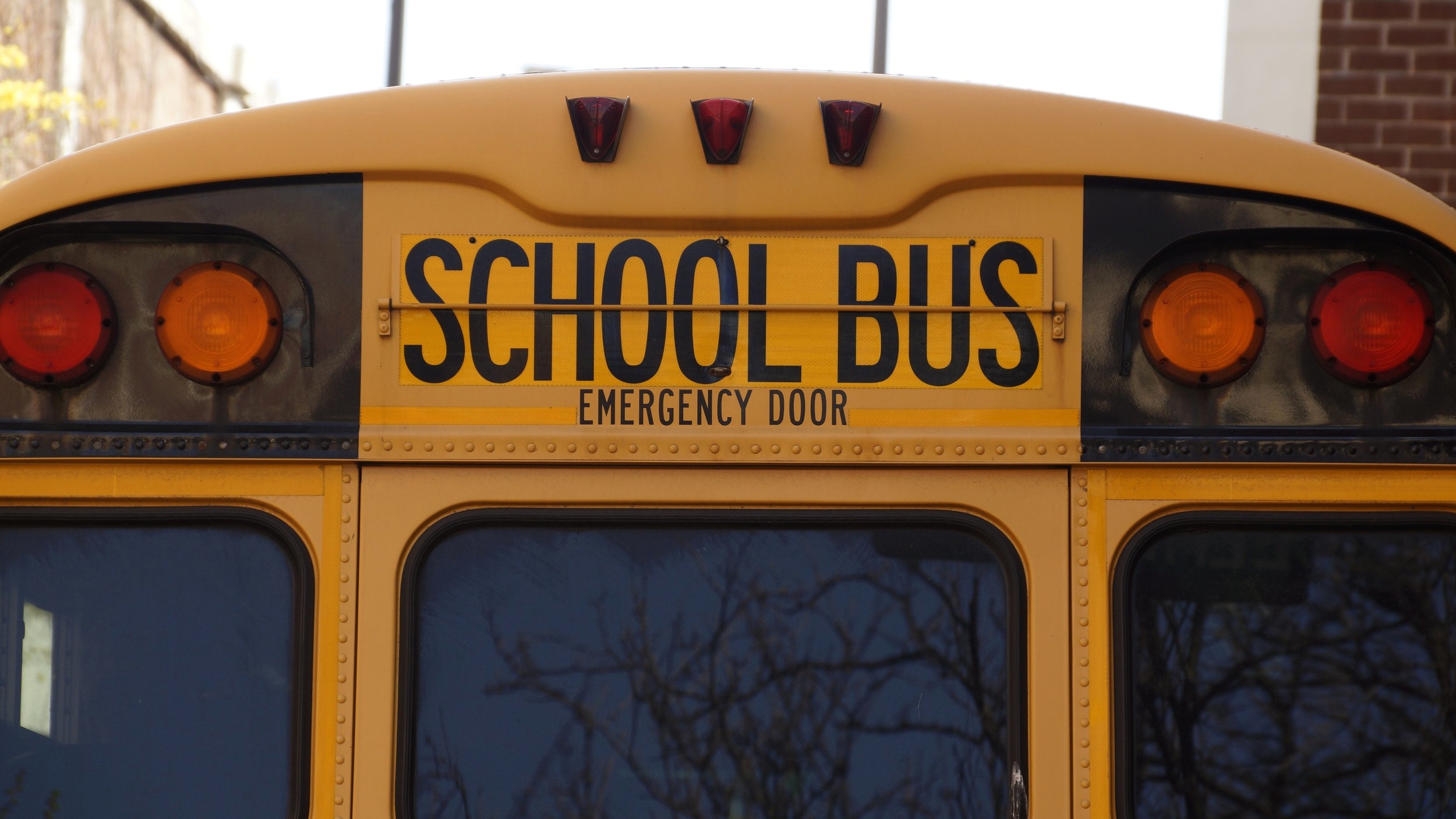 back-bus-education-159658 (1).jpg