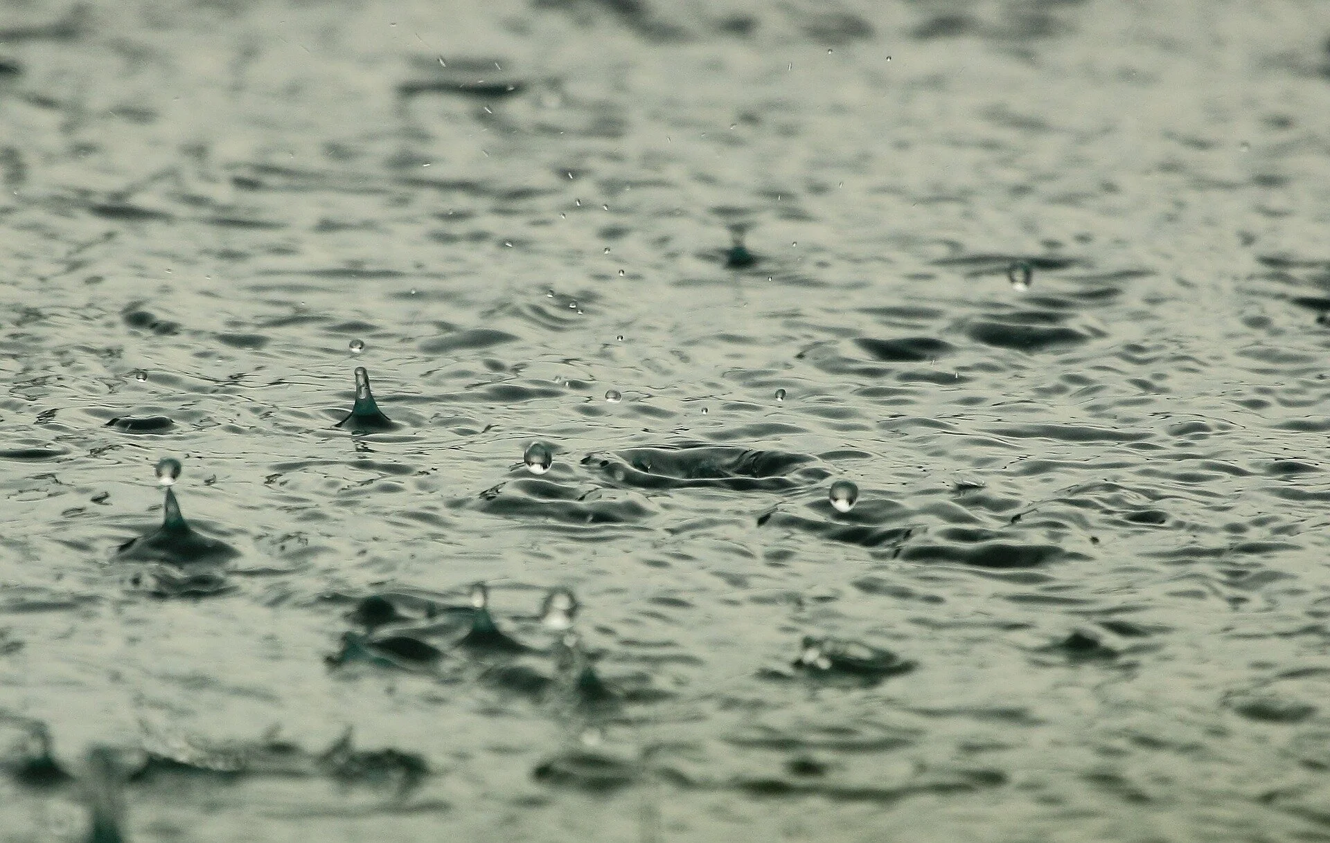 When It Rains On Your Parade - Turn To Mediation