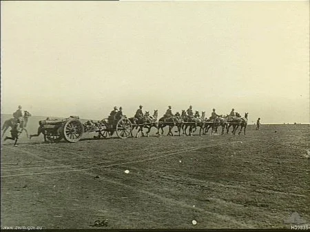 021 HUSKIE DAVID 6INCH HOWZ.jpeg