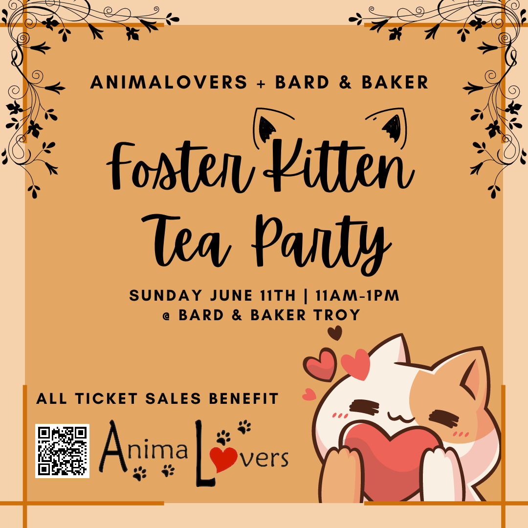Foster Kitten Tea Party with AnimaLovers