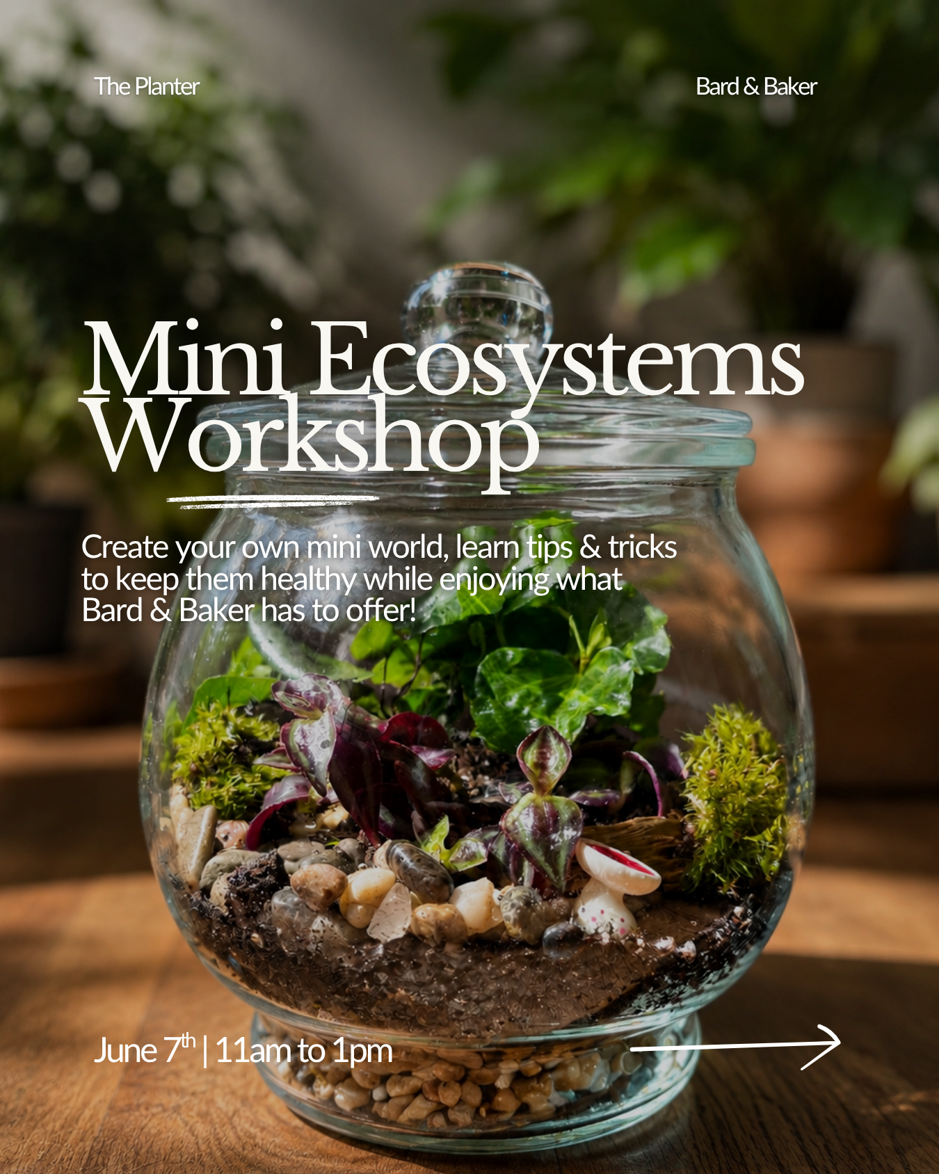Mini Ecosystems at Bard & Baker