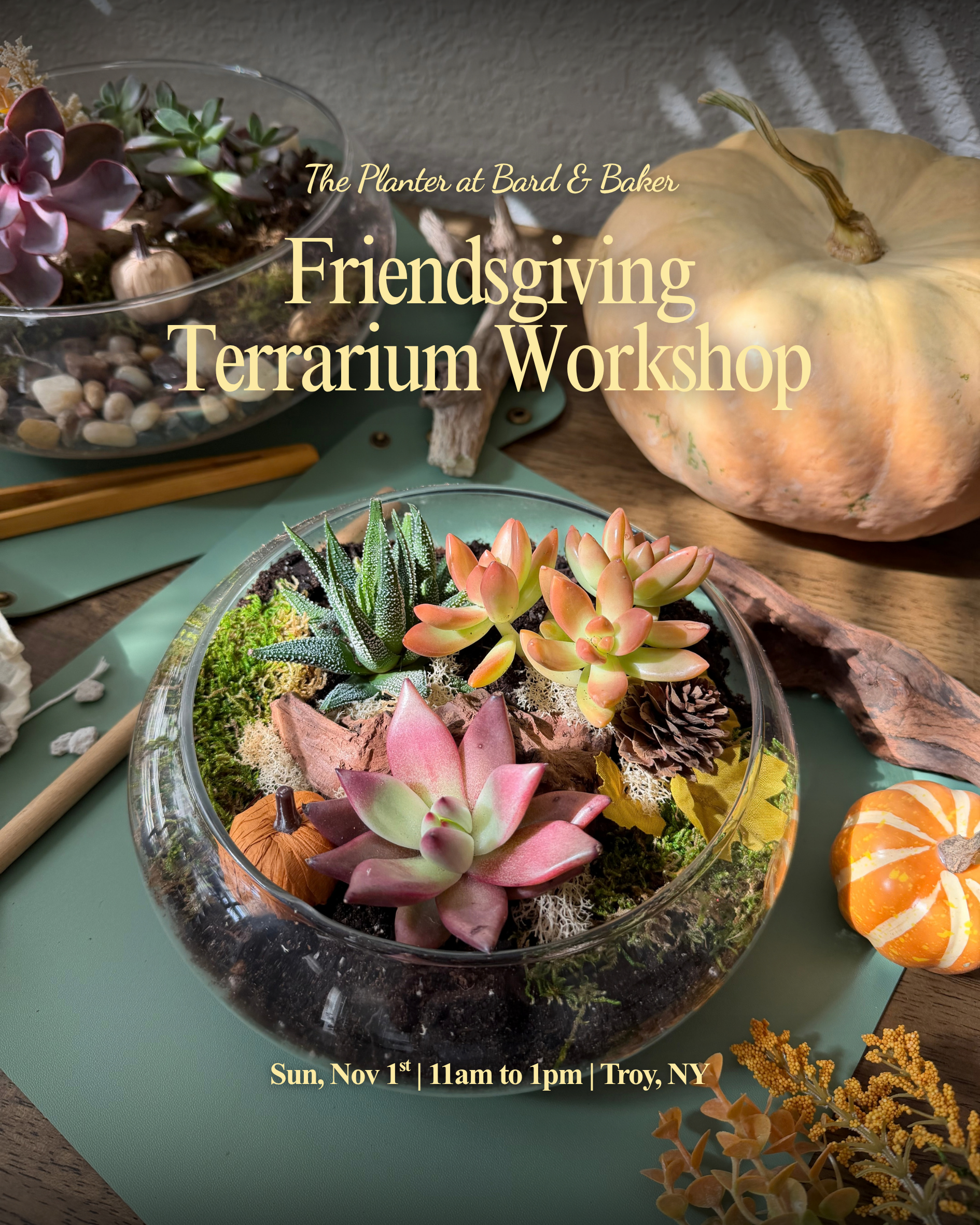 Friendsgiving : Succulent Terrarium Workshop