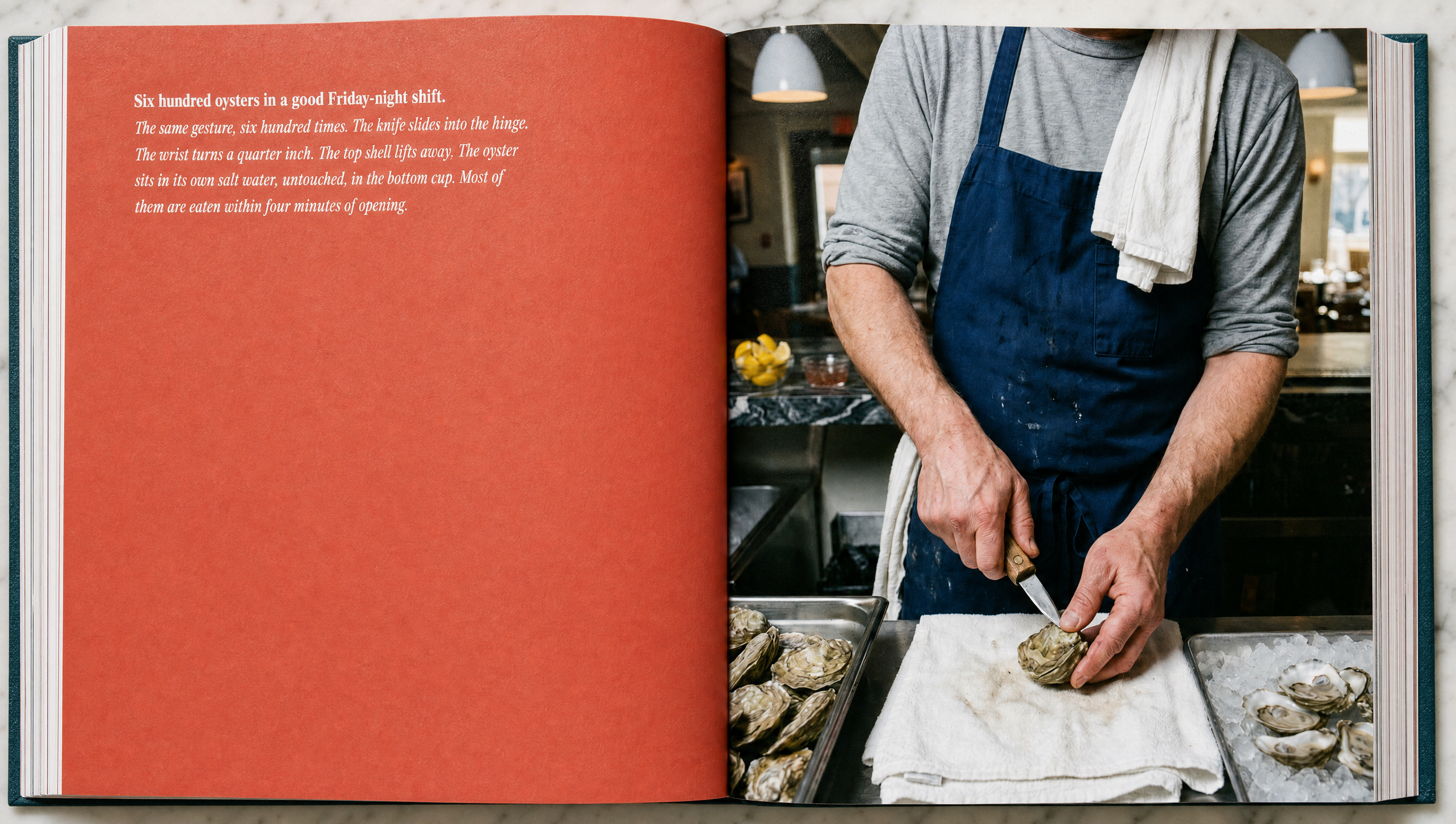 ai-editorial-book-mockup-salt-line-typography-detail-dc-creative-director.png