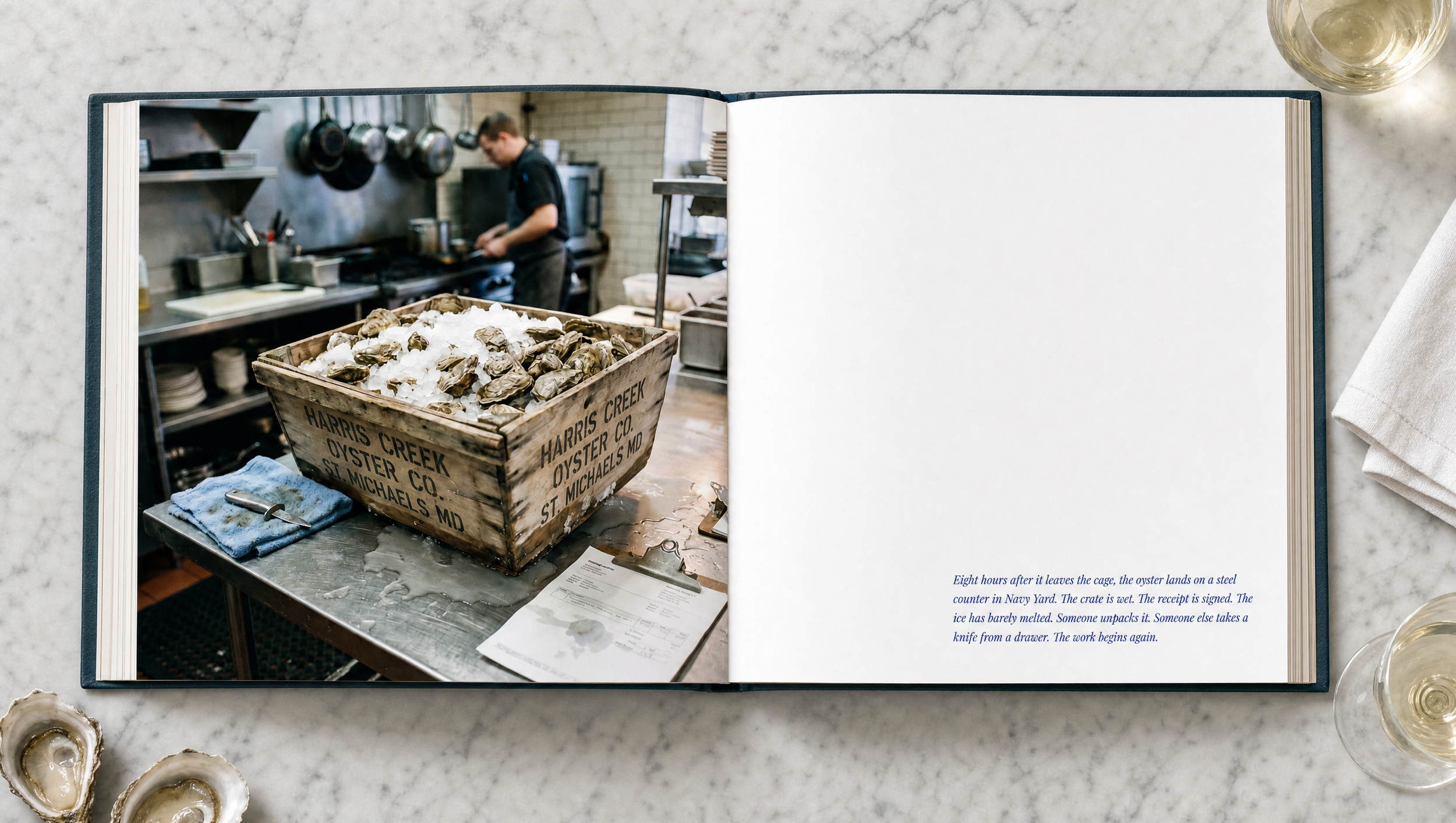  A coffee-table book is a particular kind of brand object. It doesn't sell anything directly. It says:  we take our story seriously enough to publish it.  For a hospitality brand built on a real geographical idea, that's the highest form of the brand
