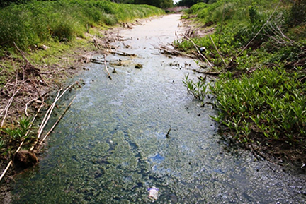 Big Slough.jpg