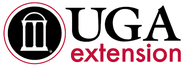 UGAExtension.png