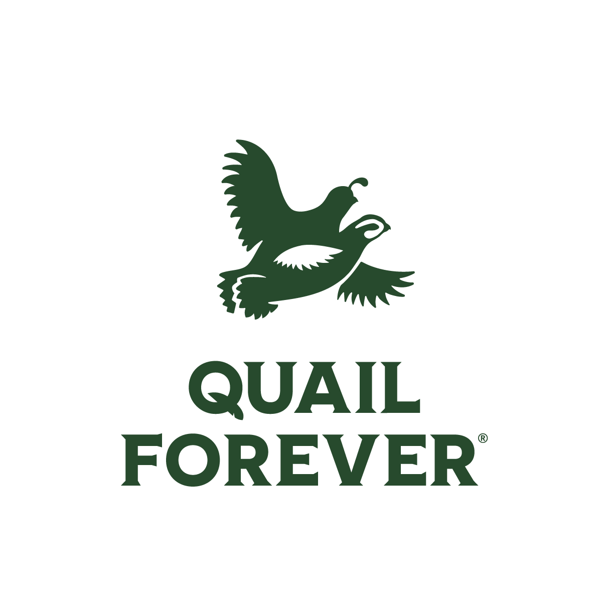 Quail Forever 26.png