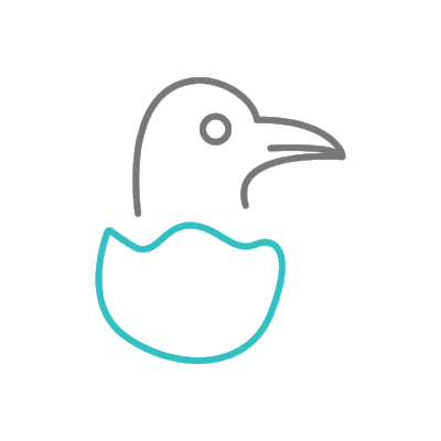 Logo_Transparent_Color.png