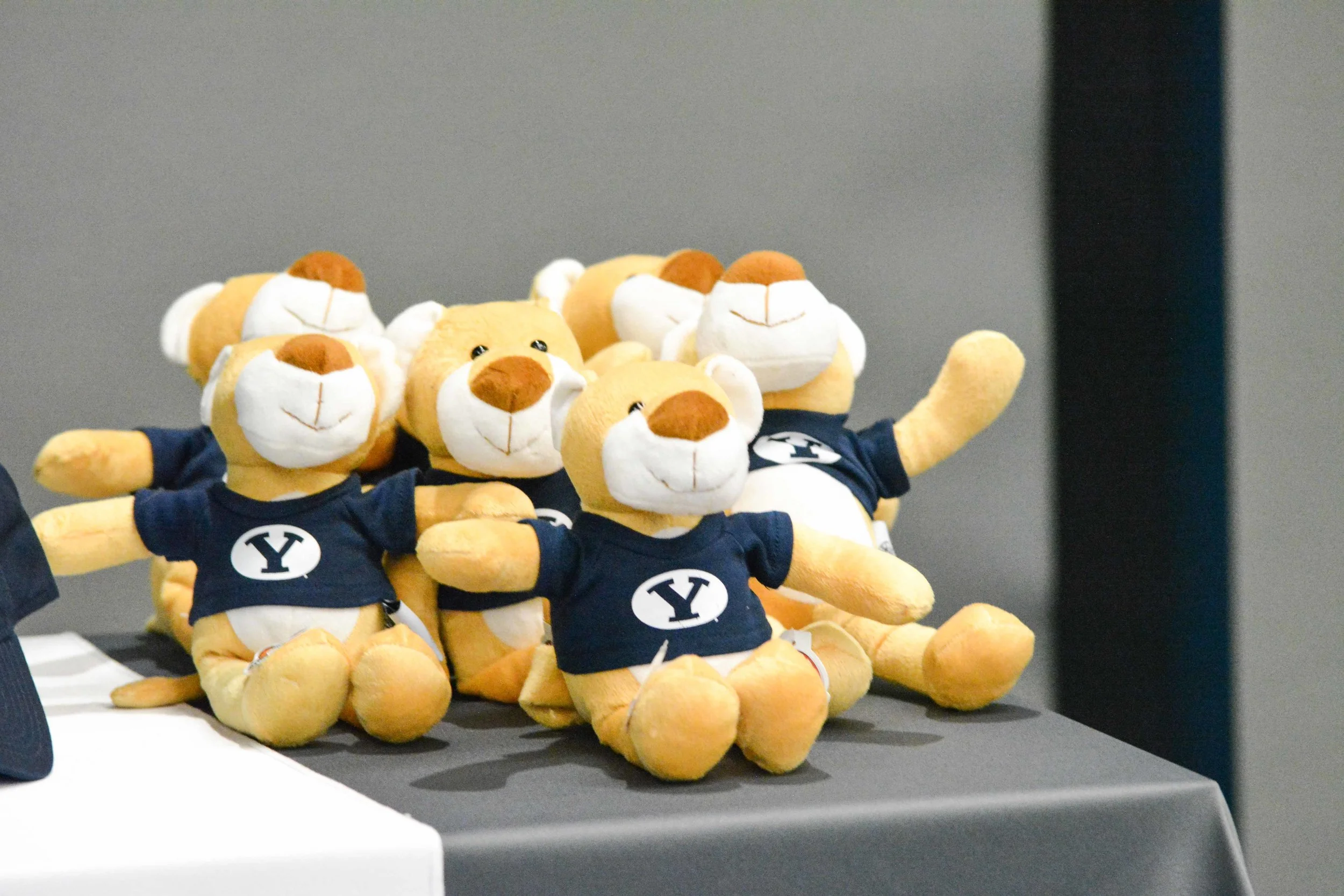 Austin Tech Summit (BYU)-4.jpg