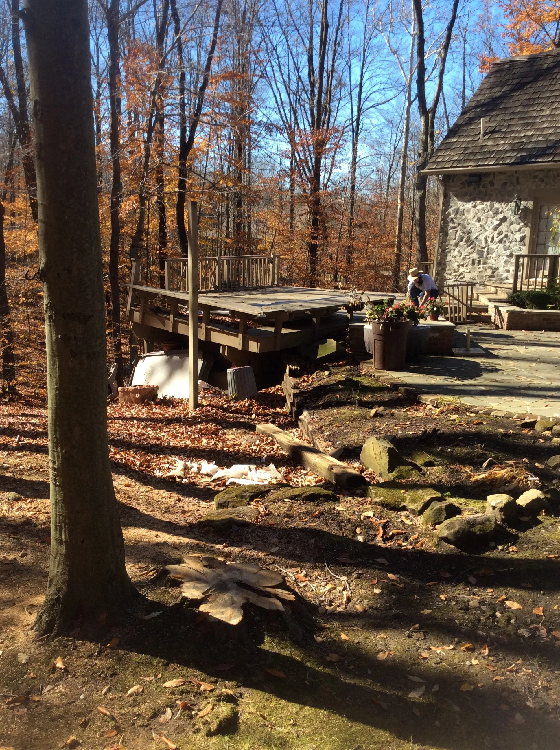 3 Landscape Design Ideas for Better Backyard Privacy in Novelty, OH