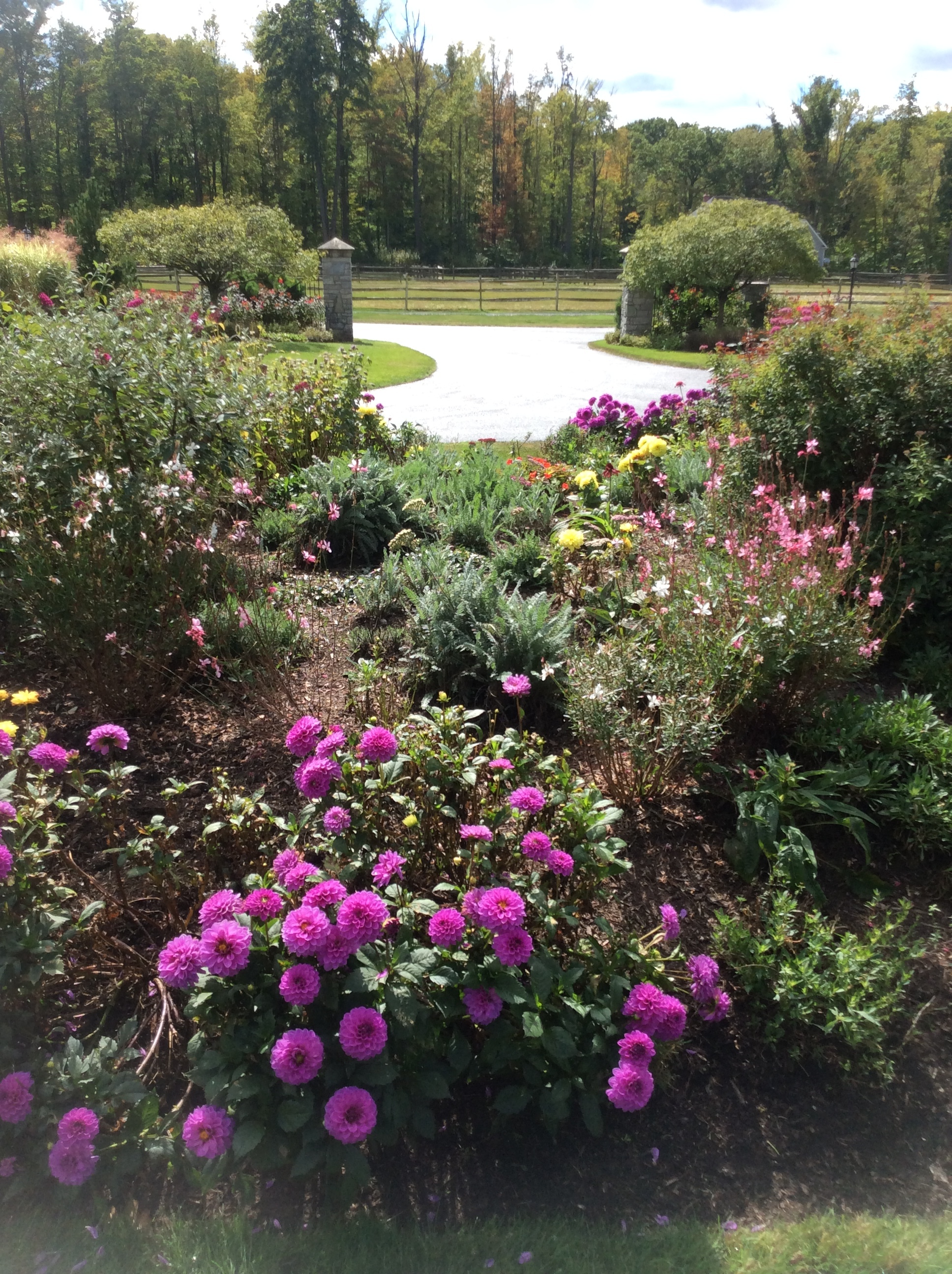 Beautify Your Novelty, OH, Landscape Design with These 5 Spring Plants