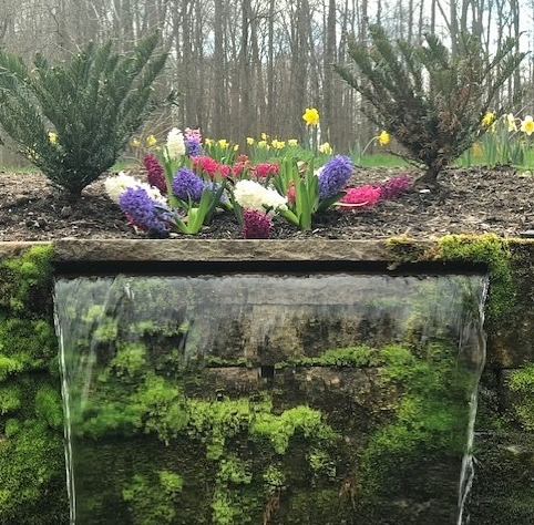 Are You Getting the Most Out of Your Current Lawn Care Service in Chagrin Falls, OH?