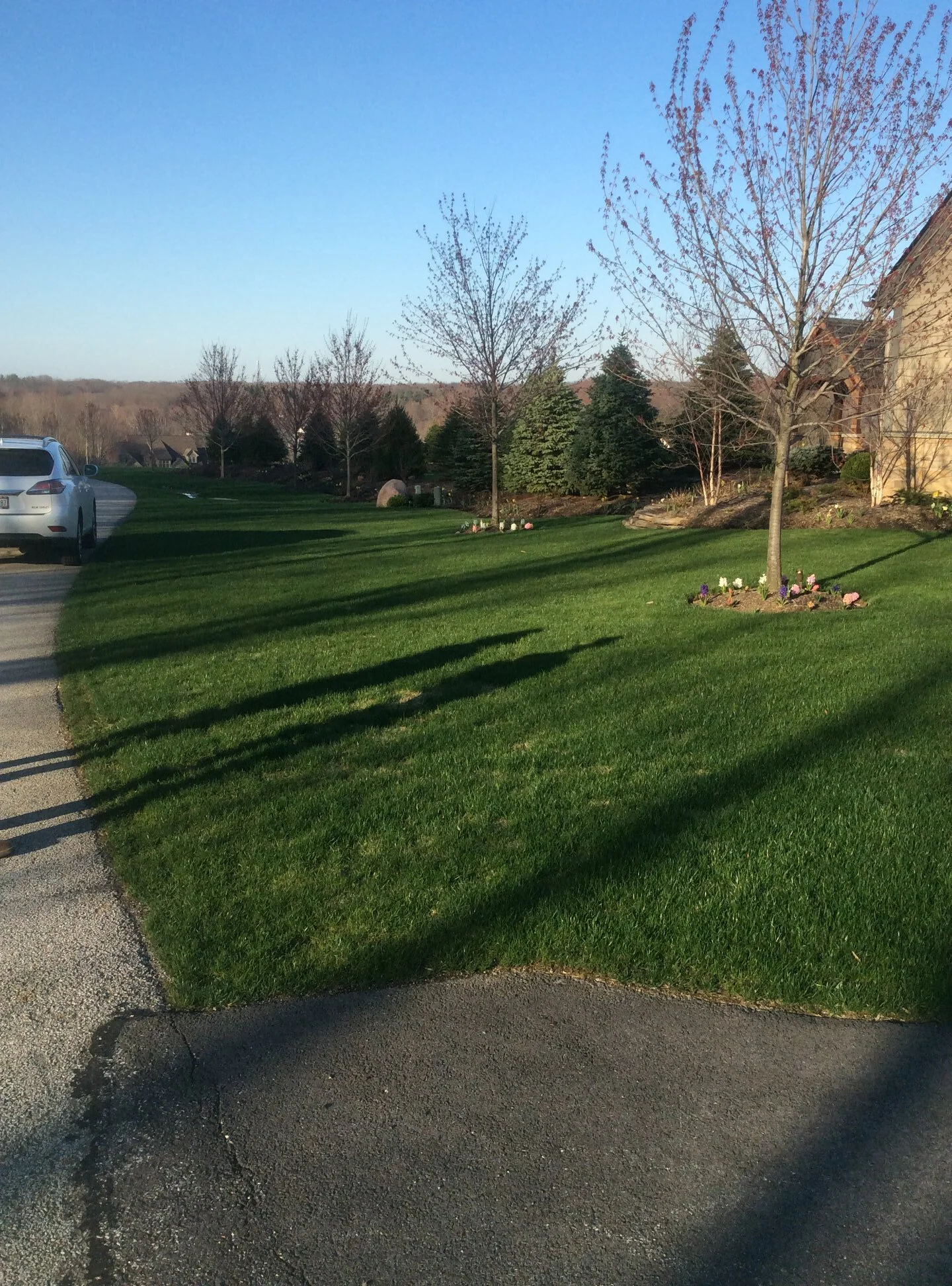The Essentials of Lawn Care in the Fall in the Moreland Hills, OH Area