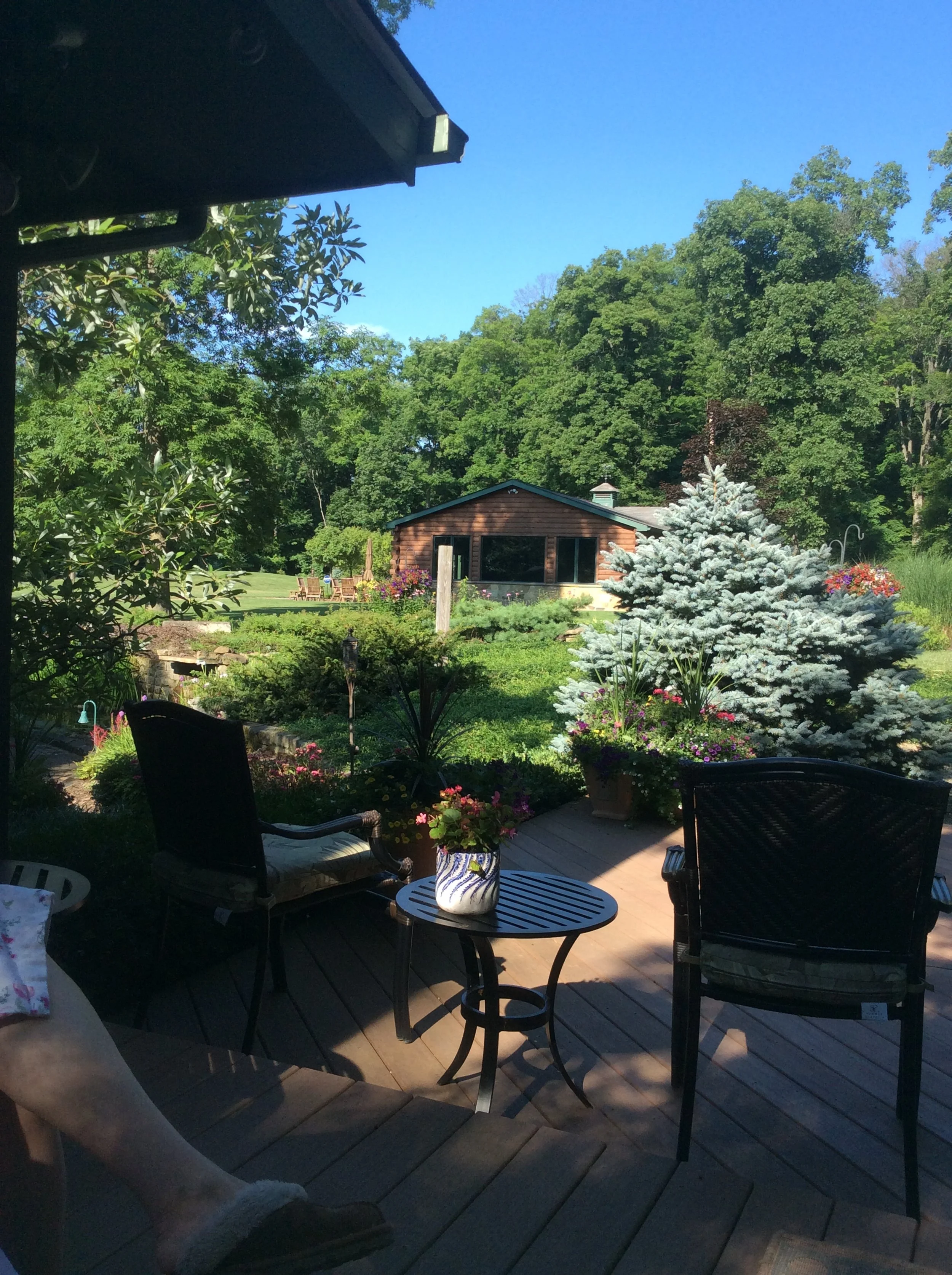 Landscape Care Tips: Lawn Mowing, Lawn Aeration, and Other Essentials in Auburn Township, OH