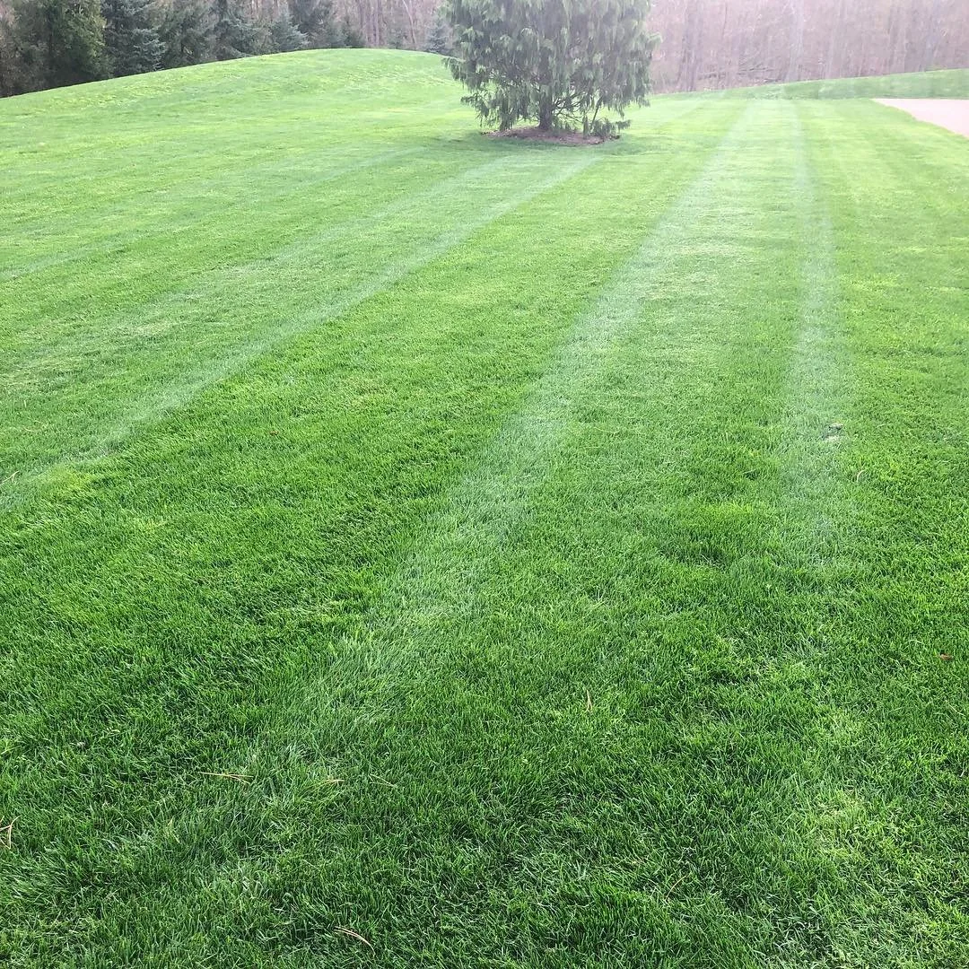 How Landscaping Companies Use a Proactive Approach When Planning Out Your Lawn Care in Hudson, OH