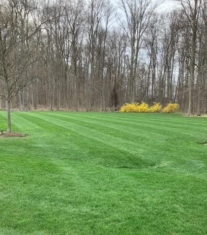 Lawn Aeration: What Is It and How Can It Benefit Your Hudson, OH Lawn?
