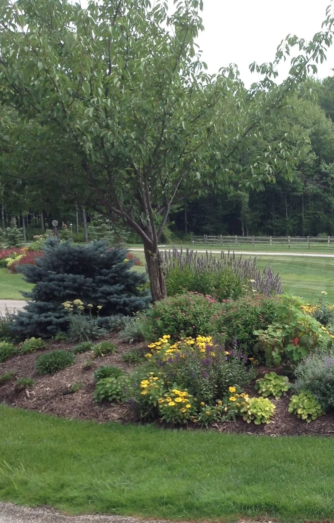 Check Lawn Mowing off Your To-Do List With a Maintenance Program in the Chagrin Falls, OH Area