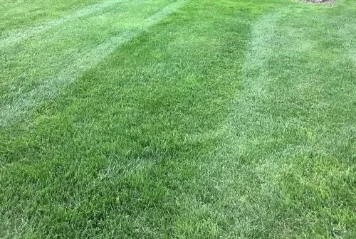 How Long Until You'll See Benefits of Lawn Aeration in the Hudson, OH Area