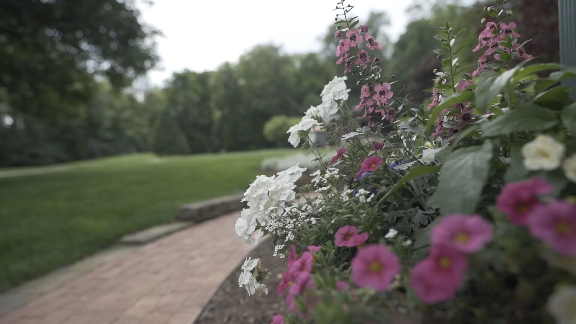 4 Services You Need That Landscaping Companies in the Bainbridge Township, OH Area Provide